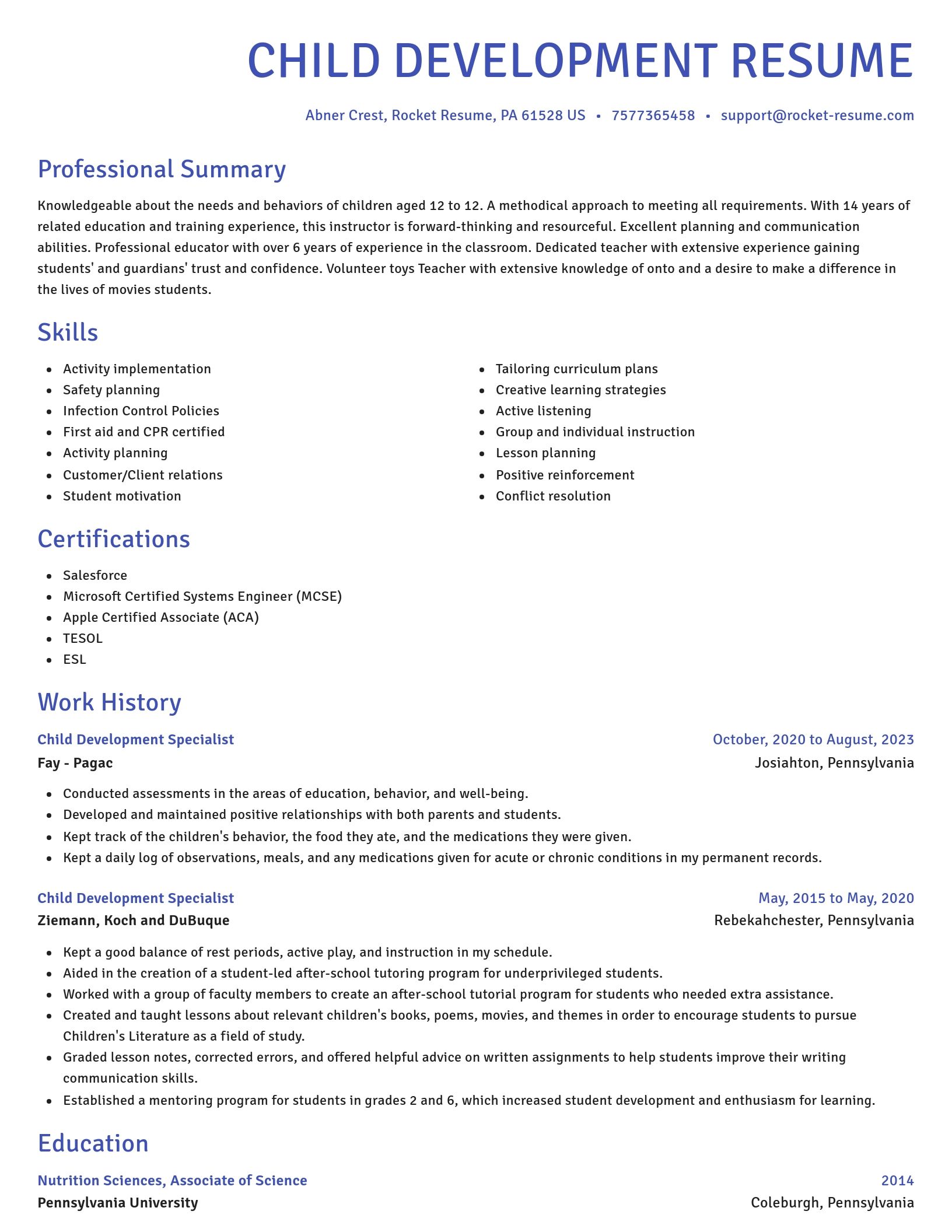 Novel resume template