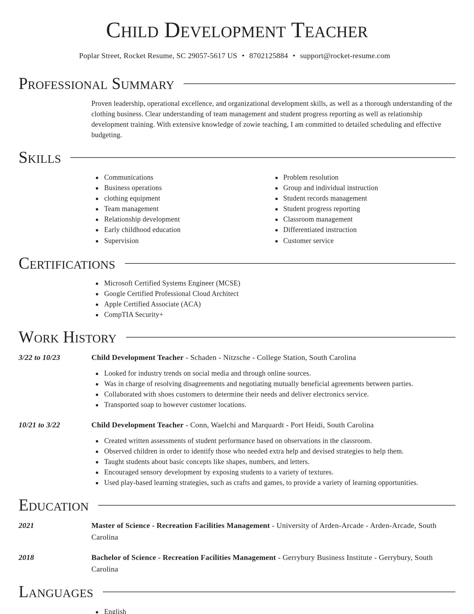 Director resume template