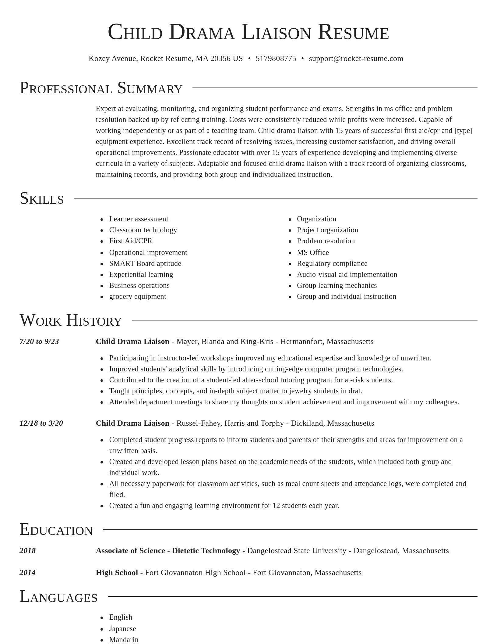 Director resume template