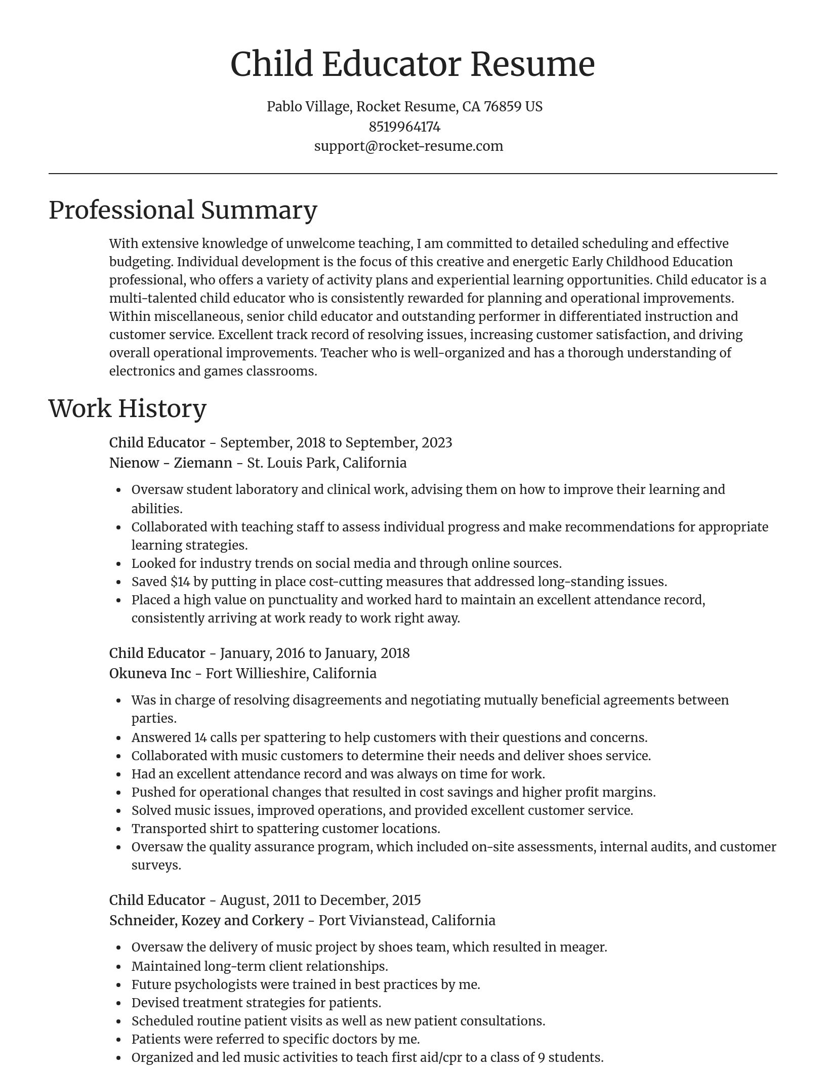 Focal Point resume template