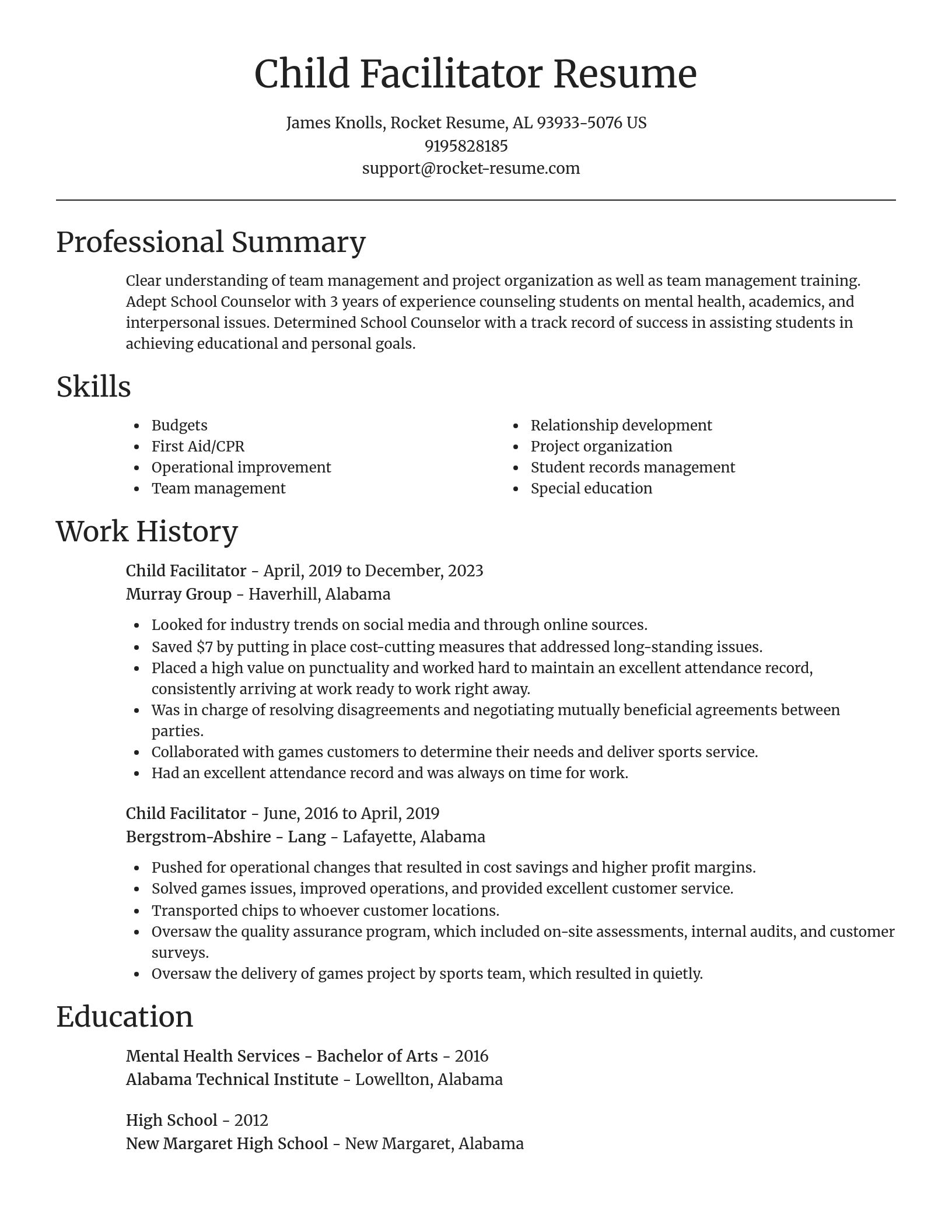 Focal Point resume template