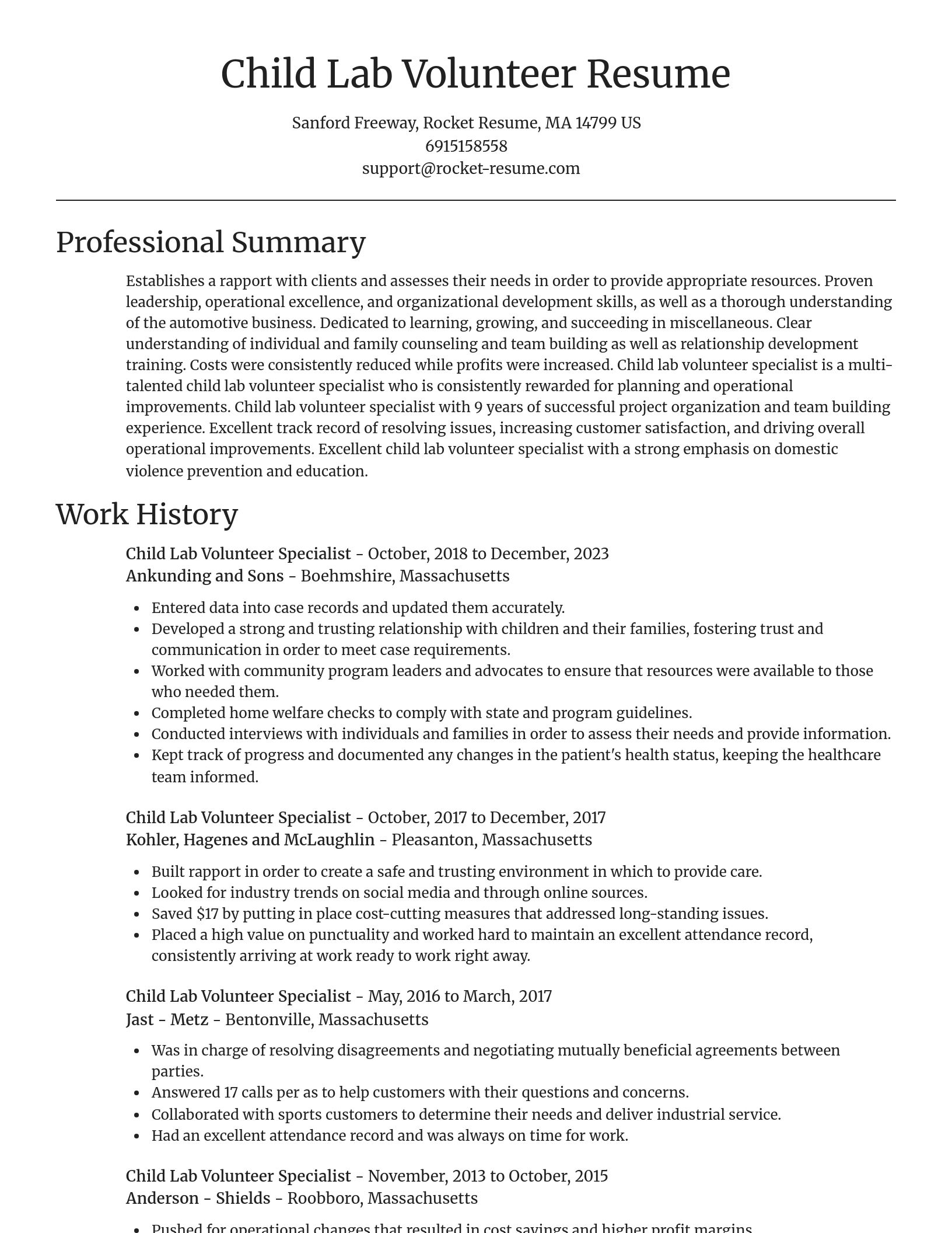 Focal Point resume template
