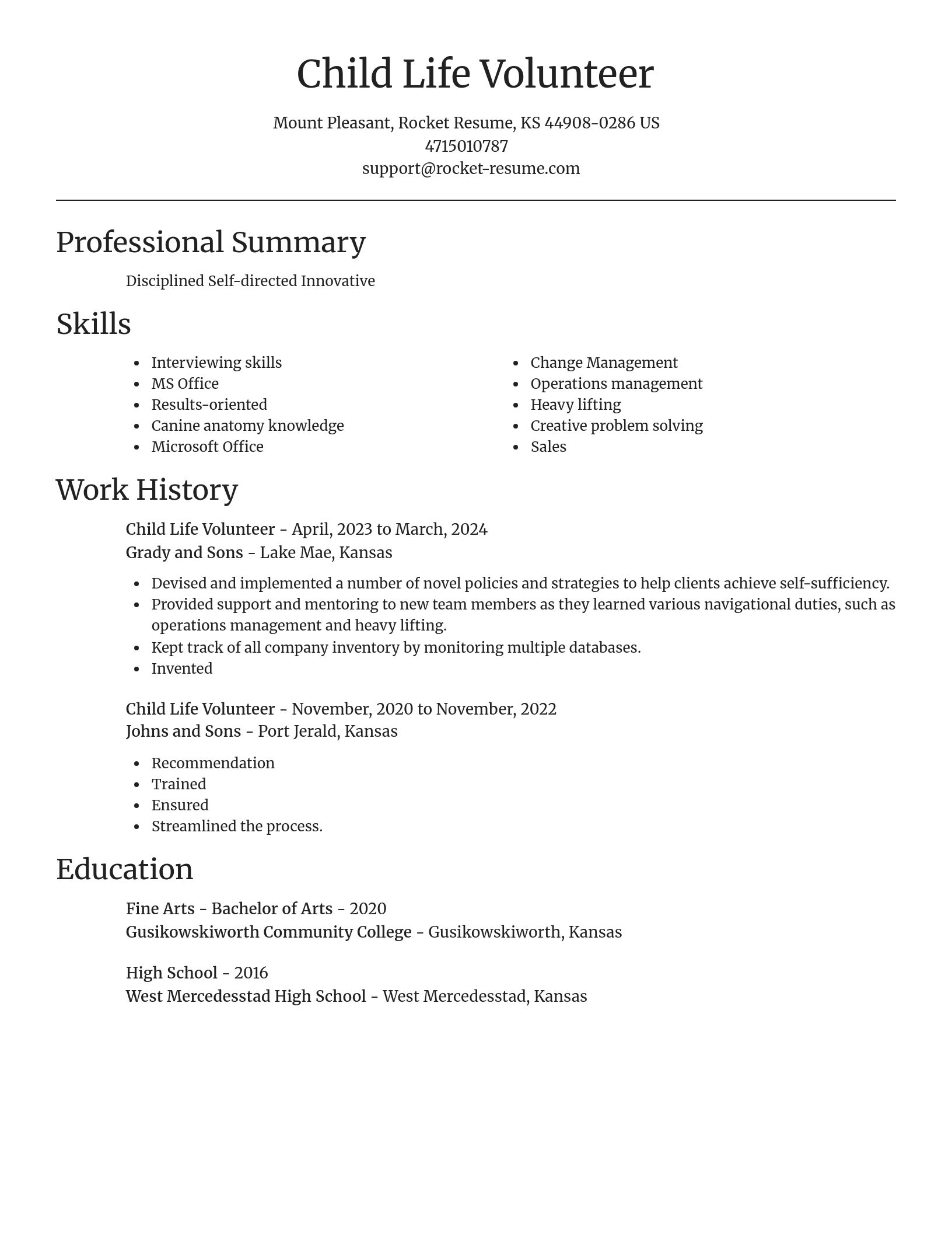 Focal Point resume template
