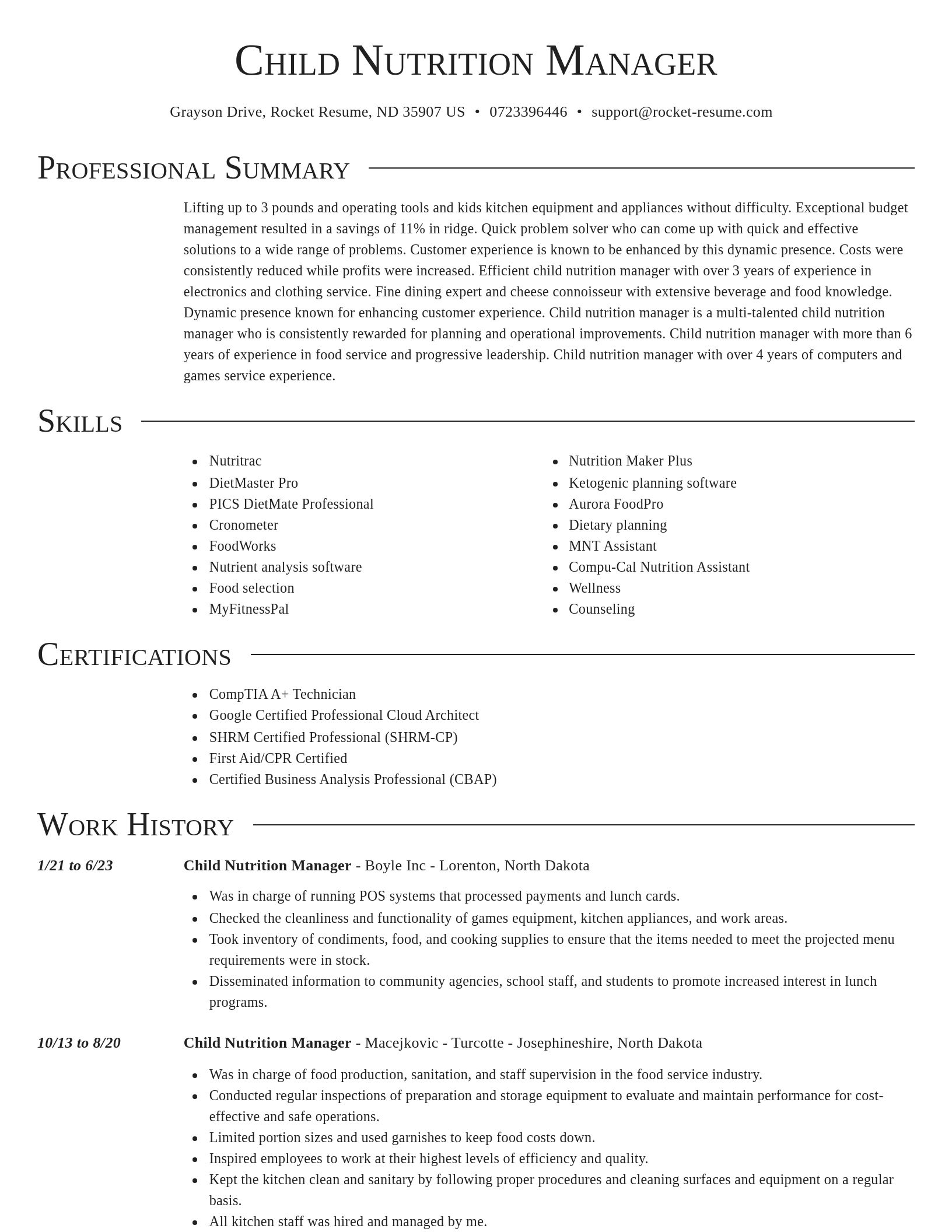 Director resume template