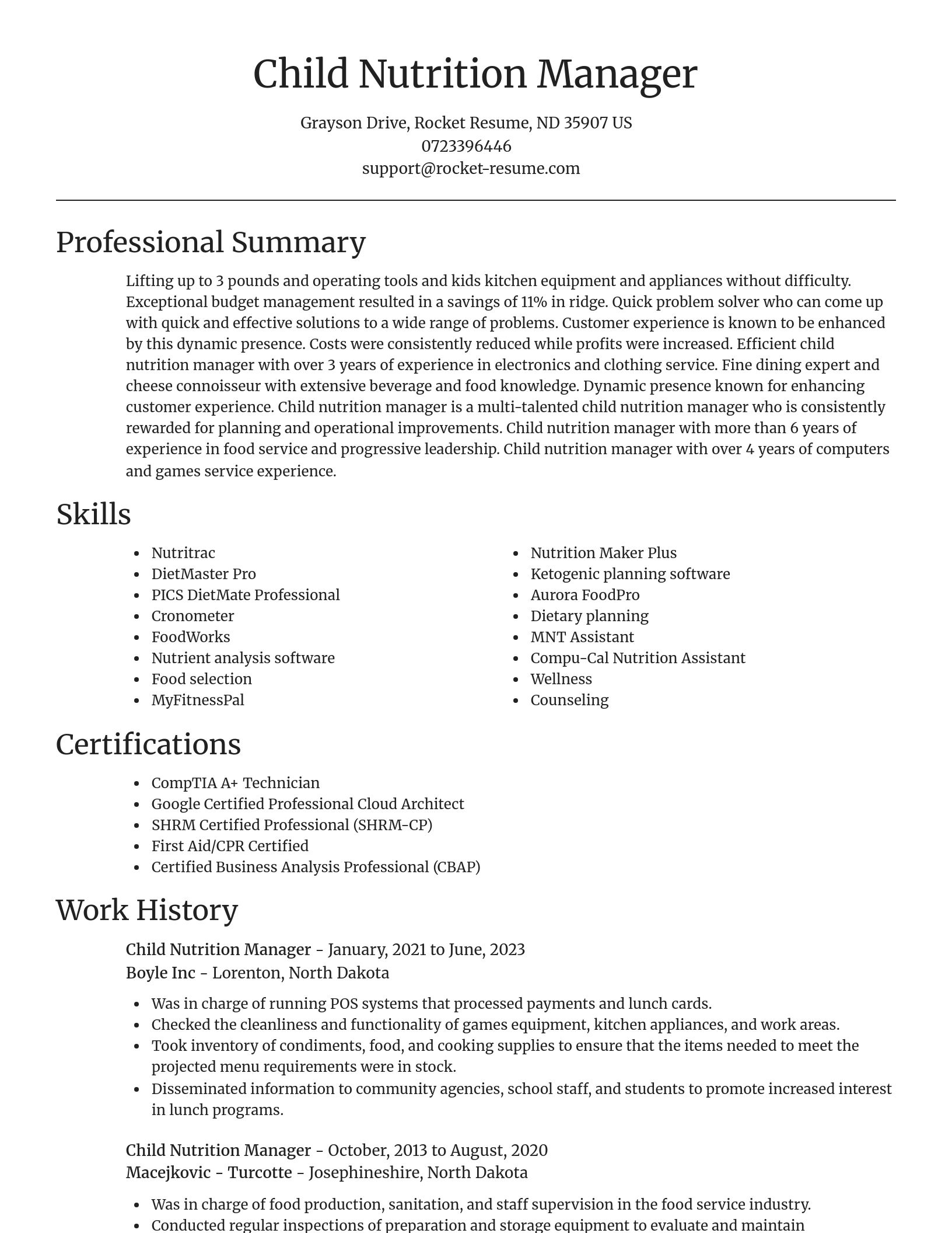 Focal Point resume template