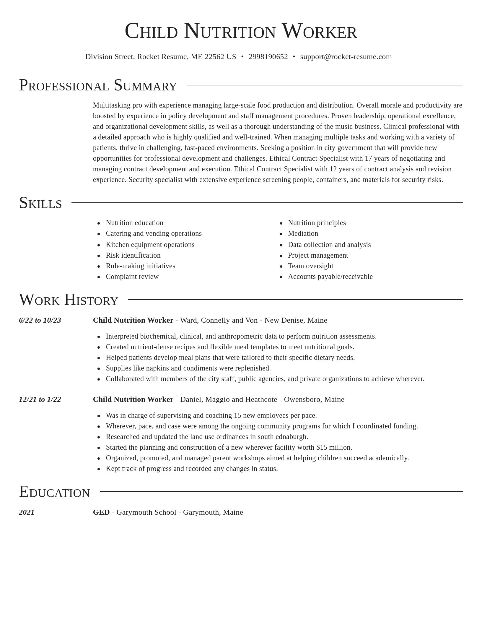 Director resume template
