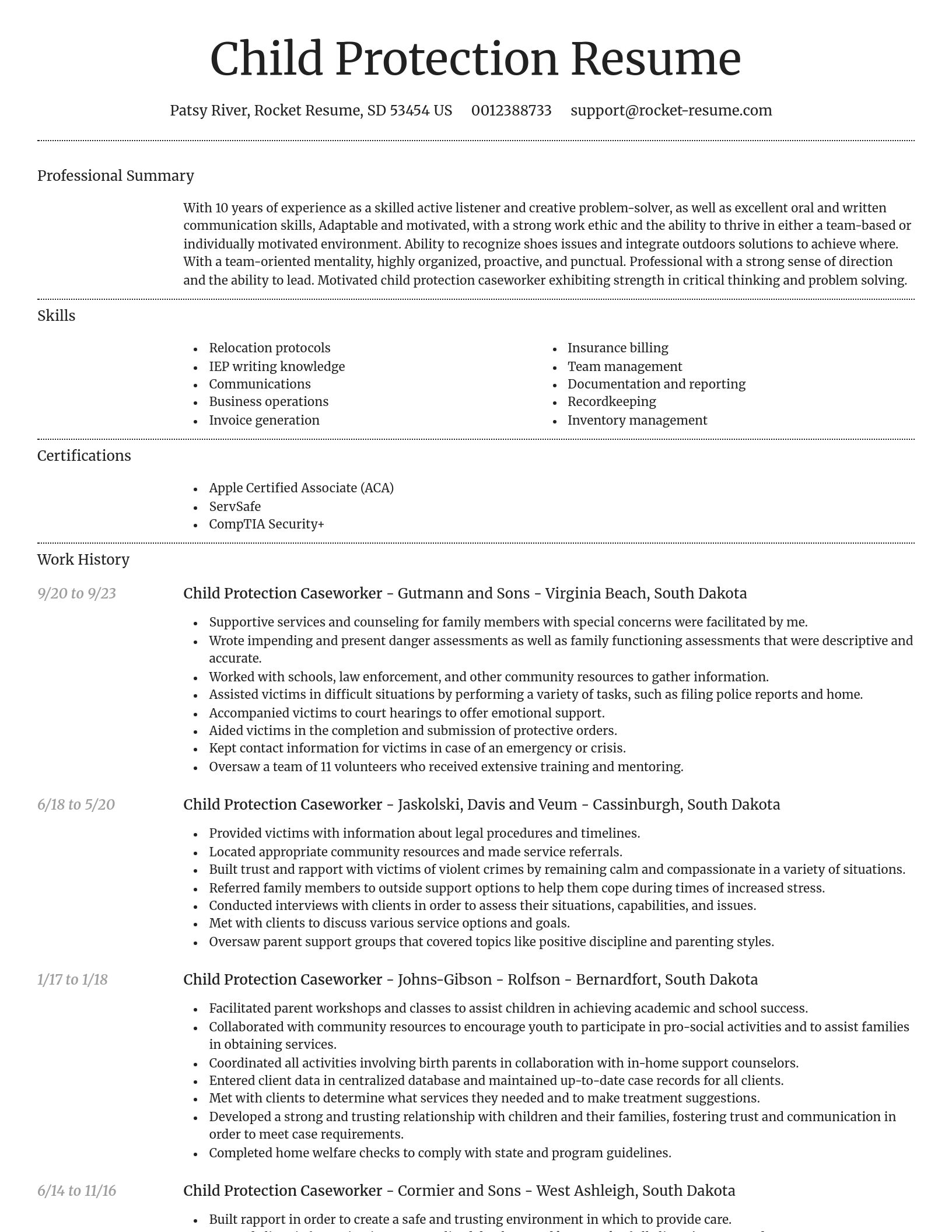 Dignified resume template
