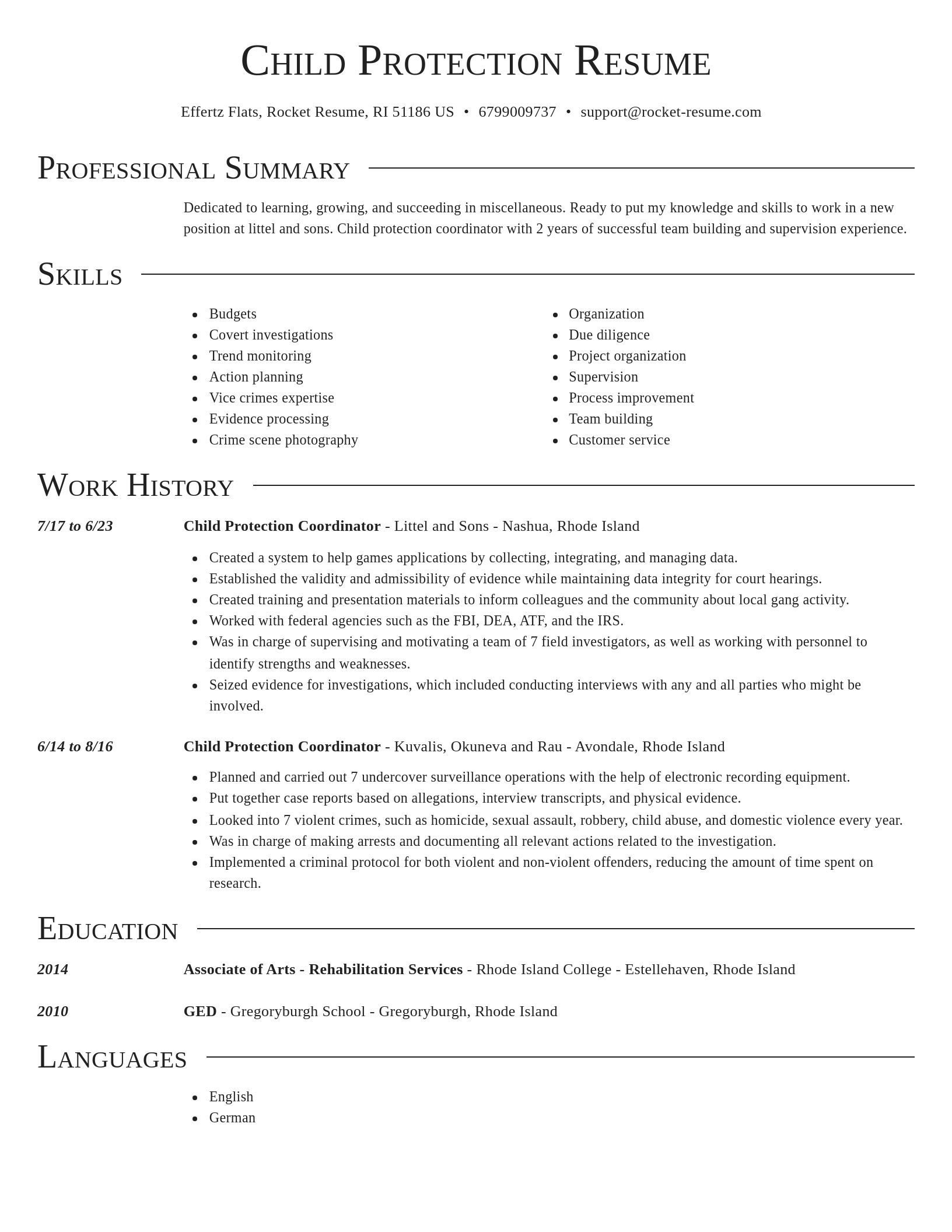 Director resume template
