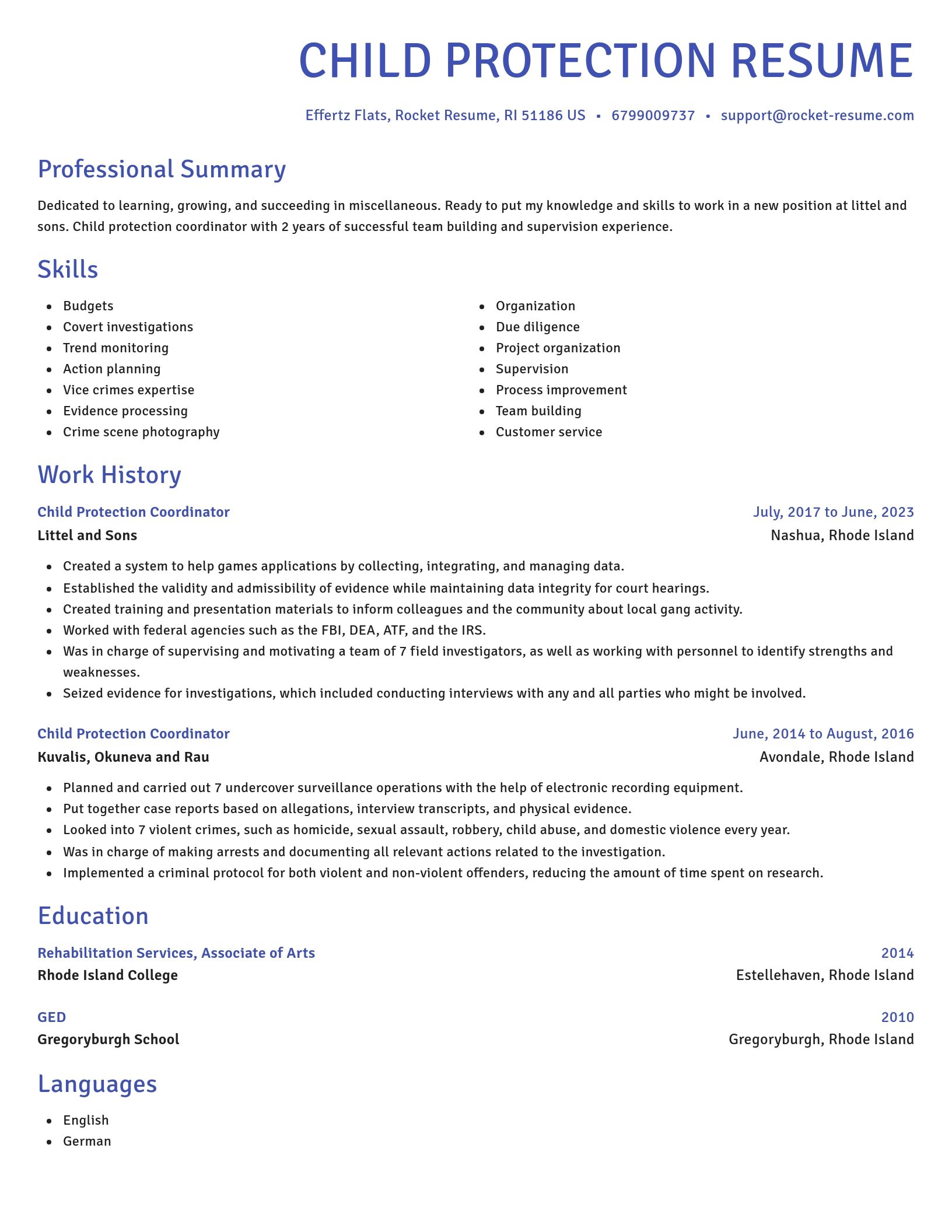 Novel resume template
