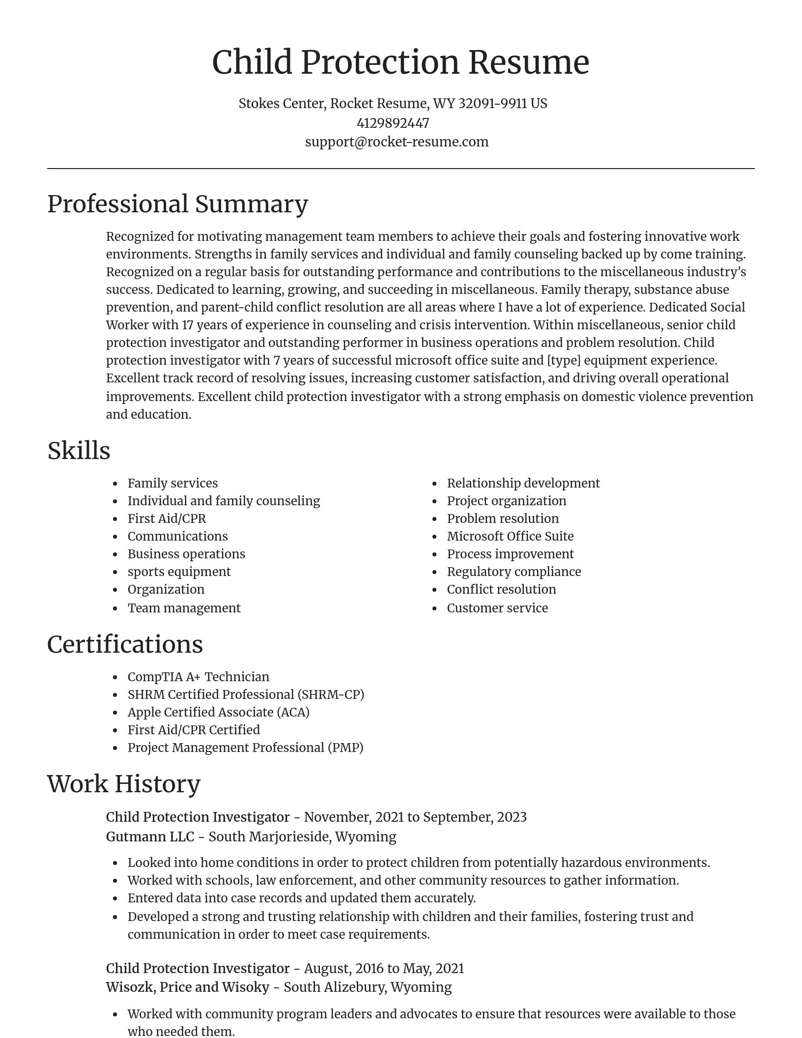 Focal Point resume template