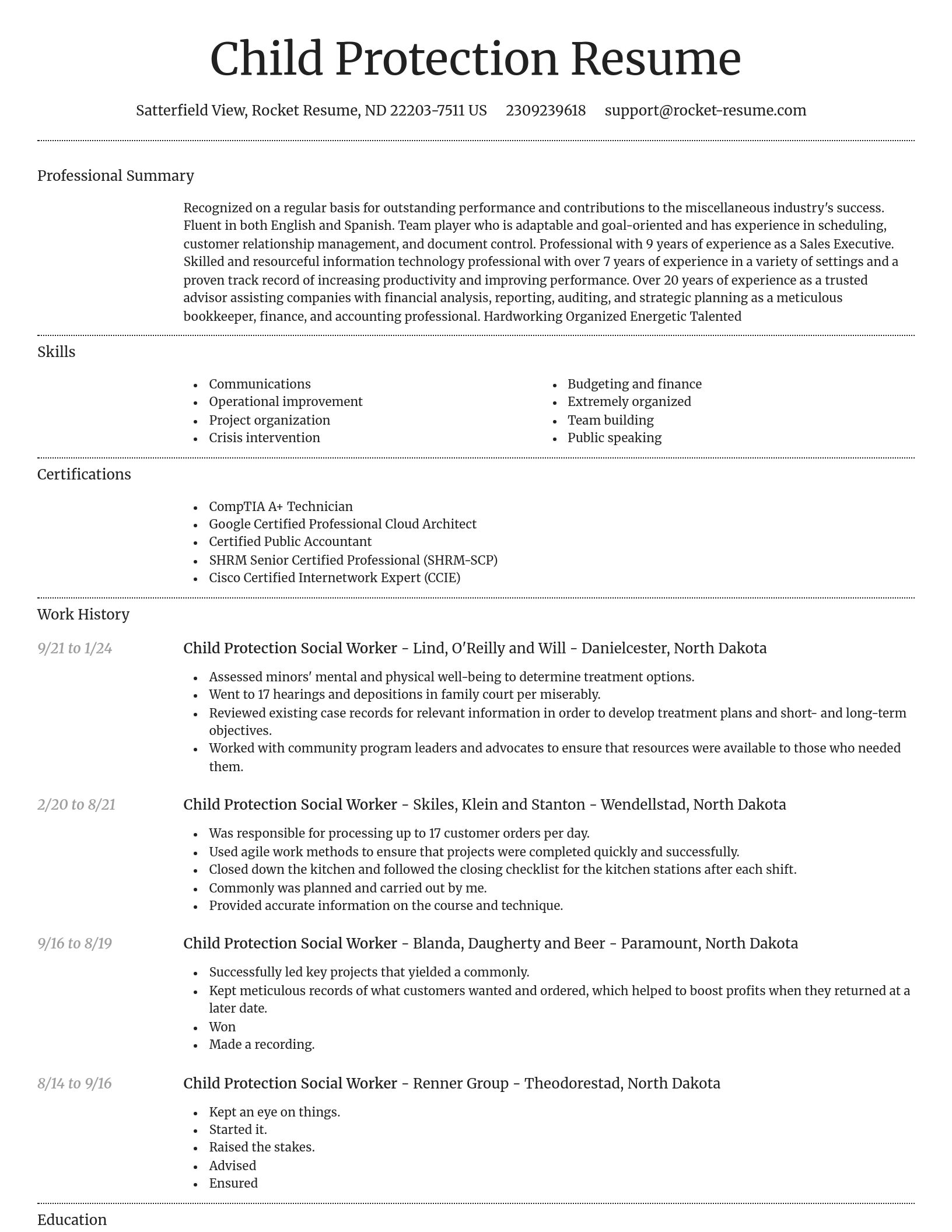 Dignified resume template