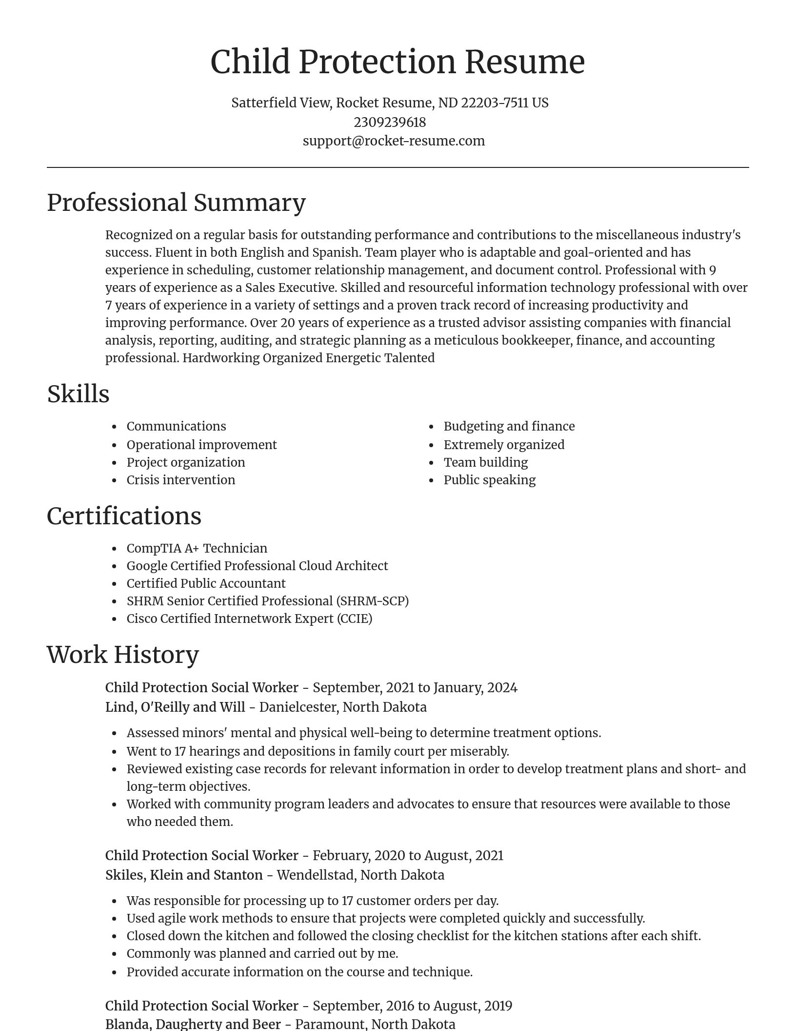 Focal Point resume template