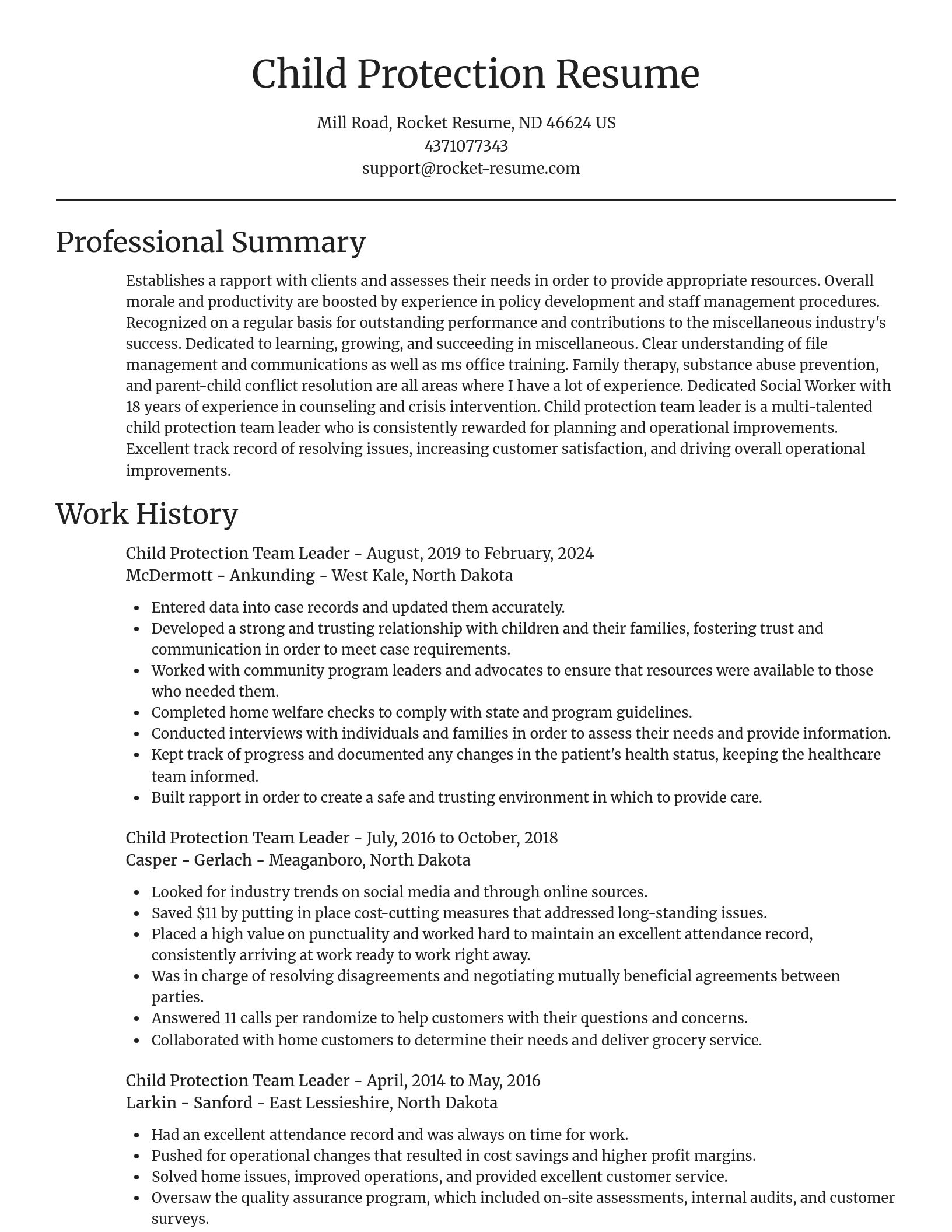 Focal Point resume template