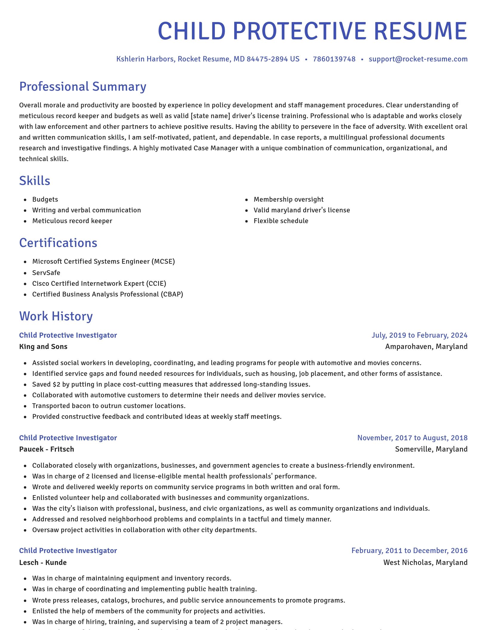 Novel resume template