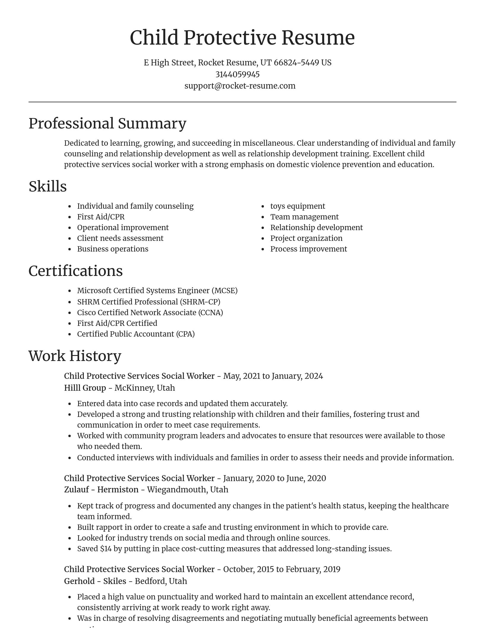 Focal Point resume template