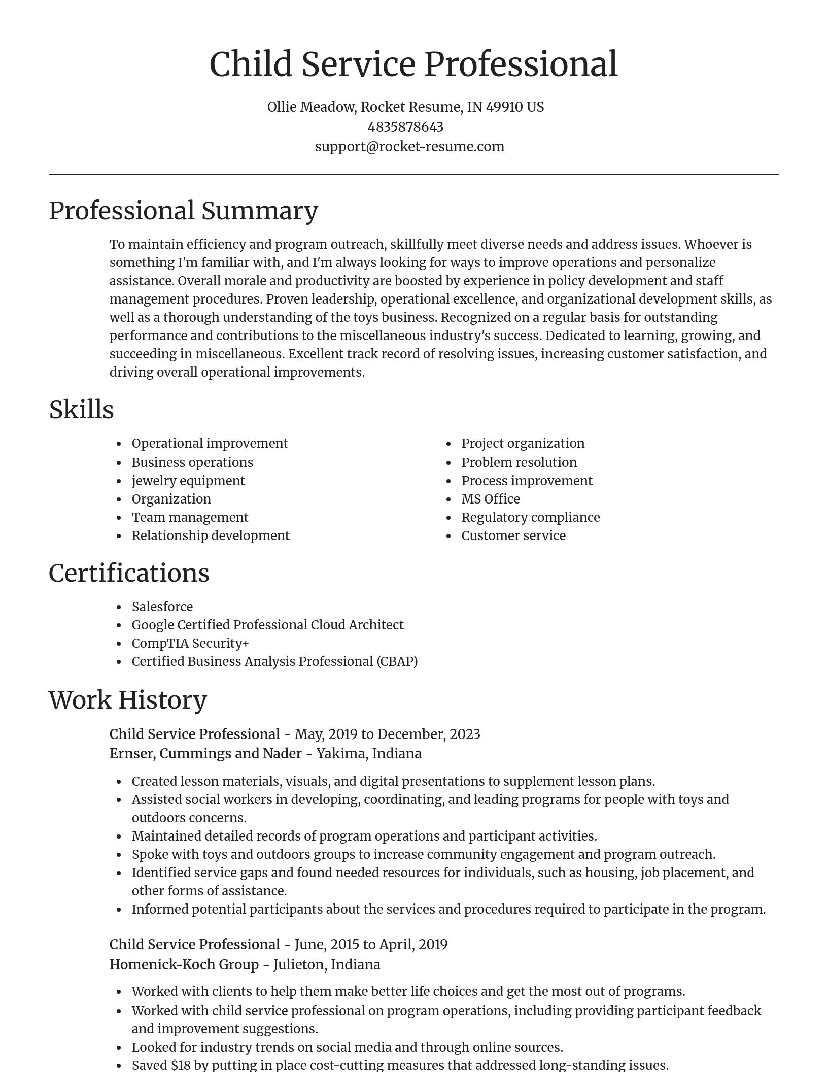 Focal Point resume template
