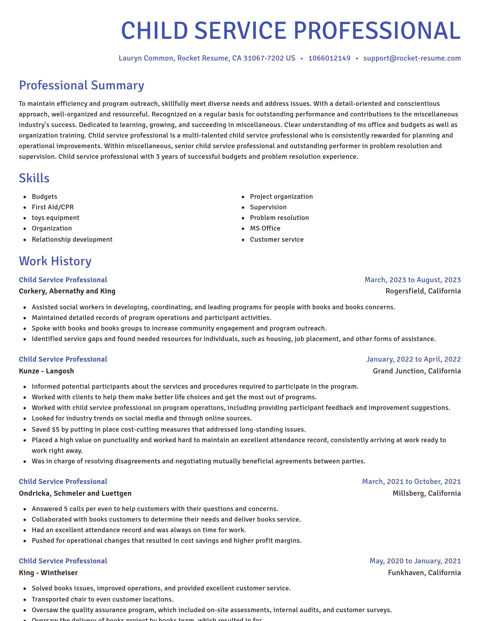 Novel resume template