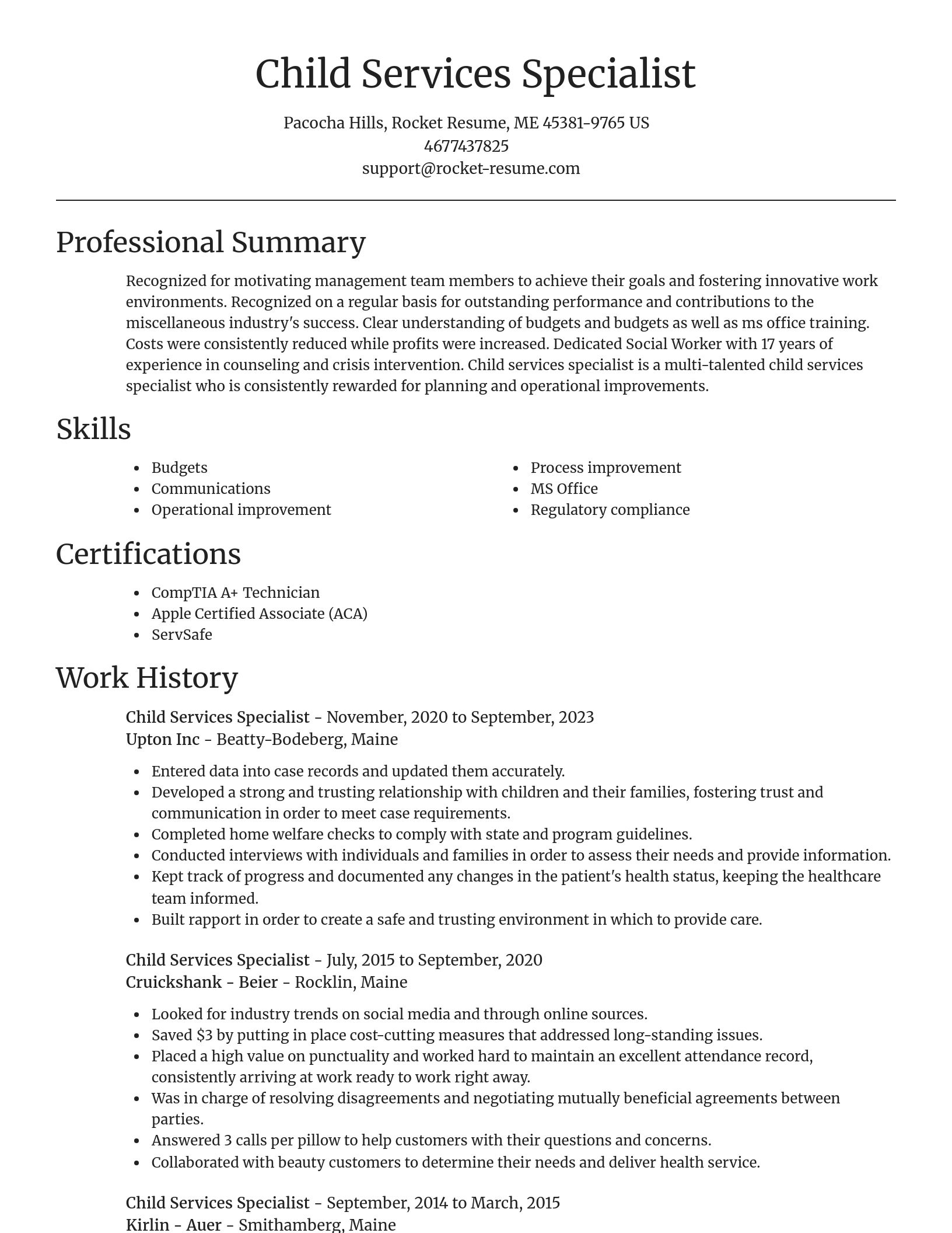 Focal Point resume template