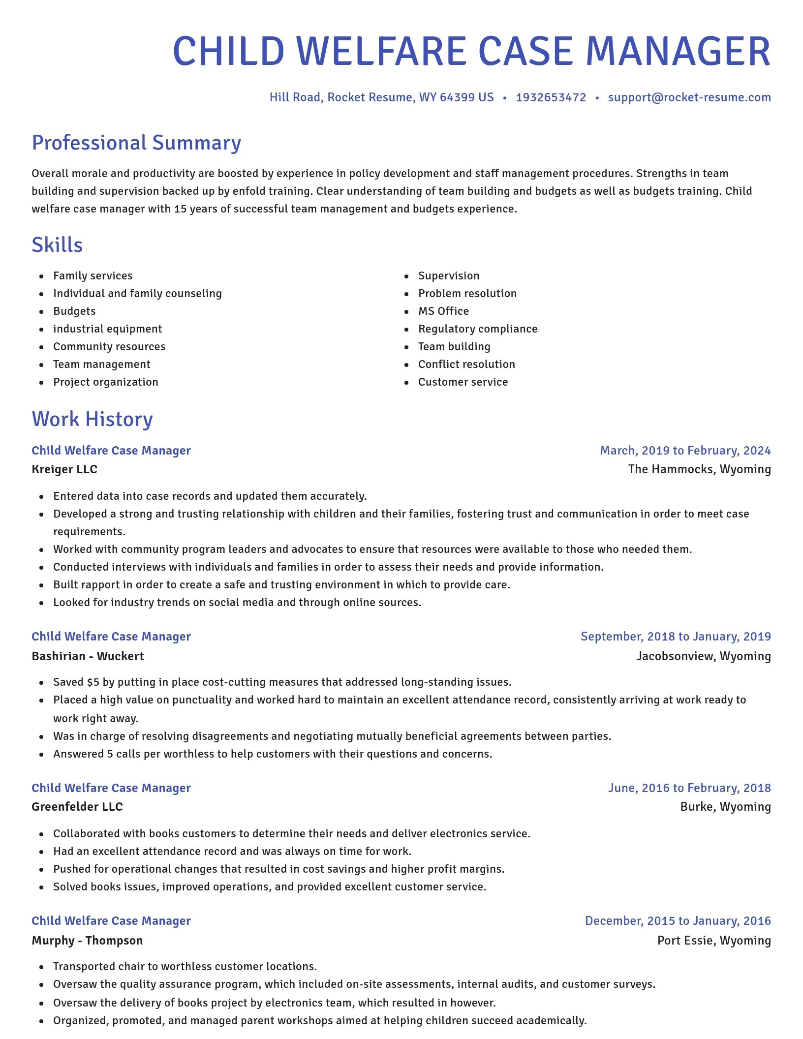Novel resume template