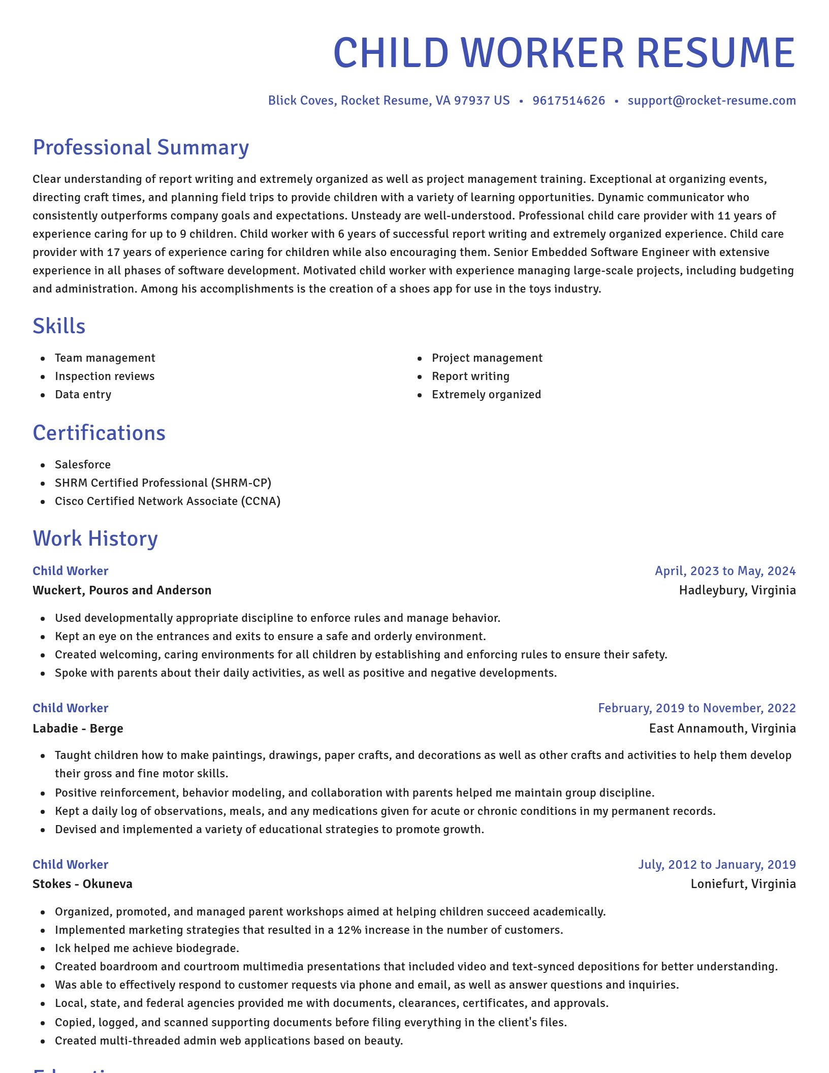 Novel resume template