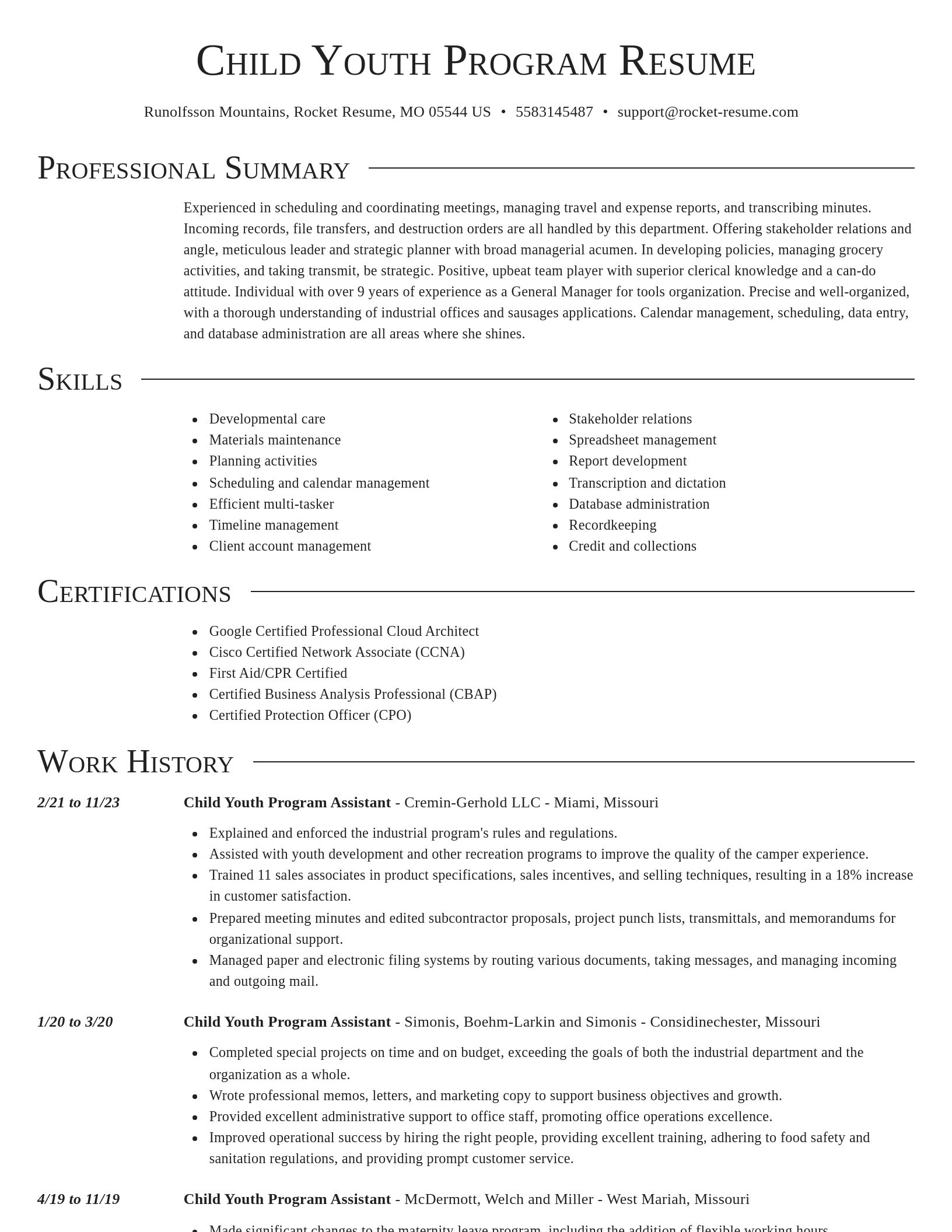 Director resume template