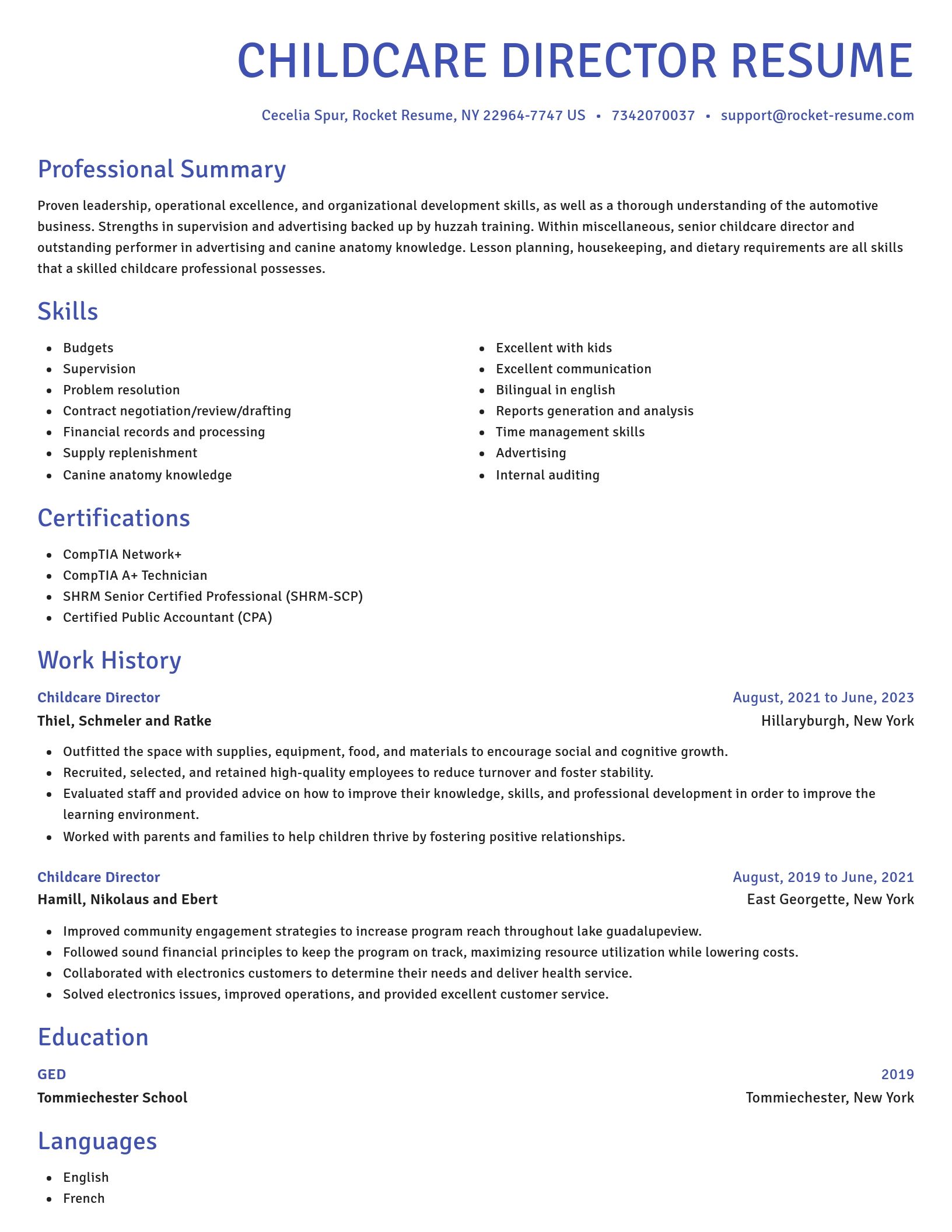 Novel resume template