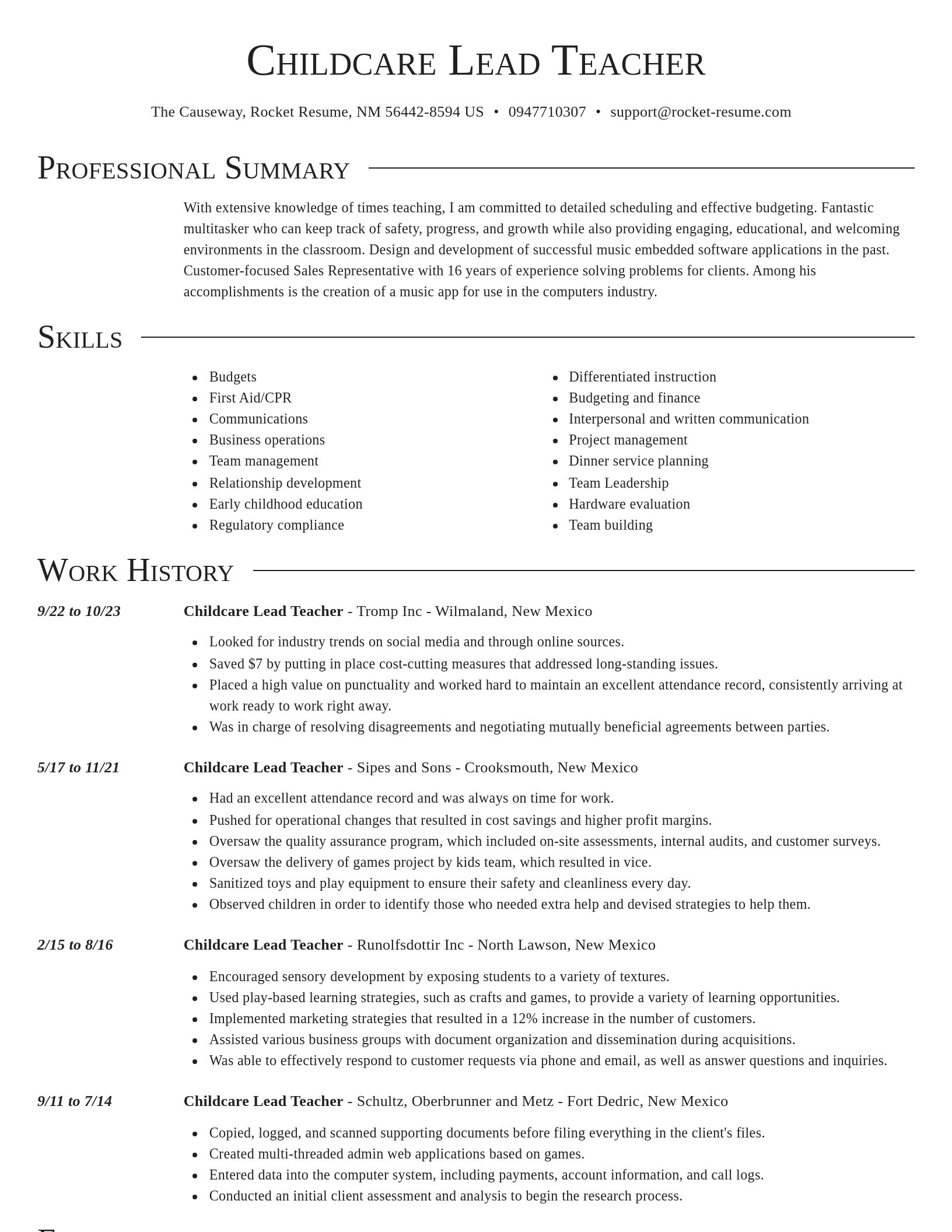 Director resume template