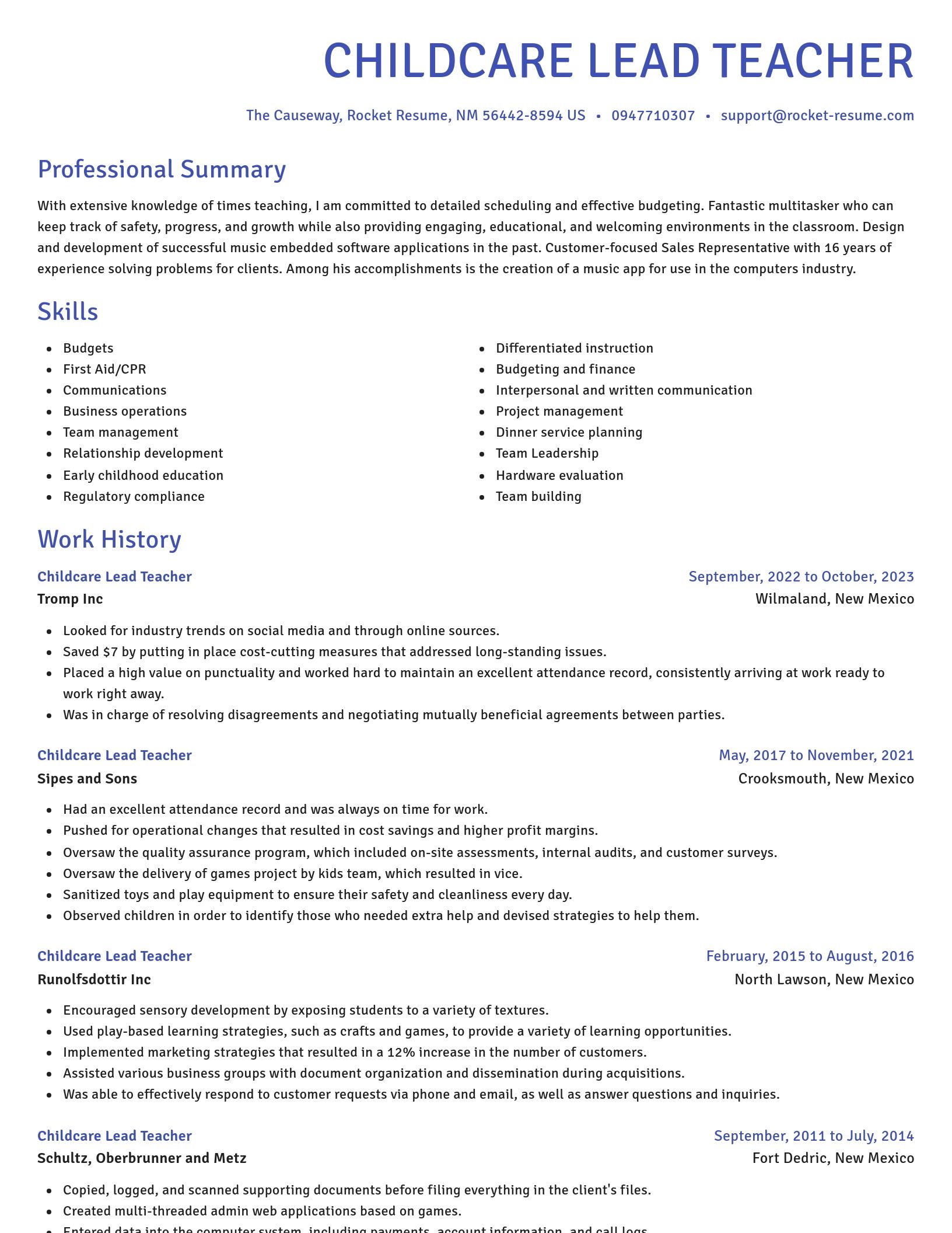 Novel resume template