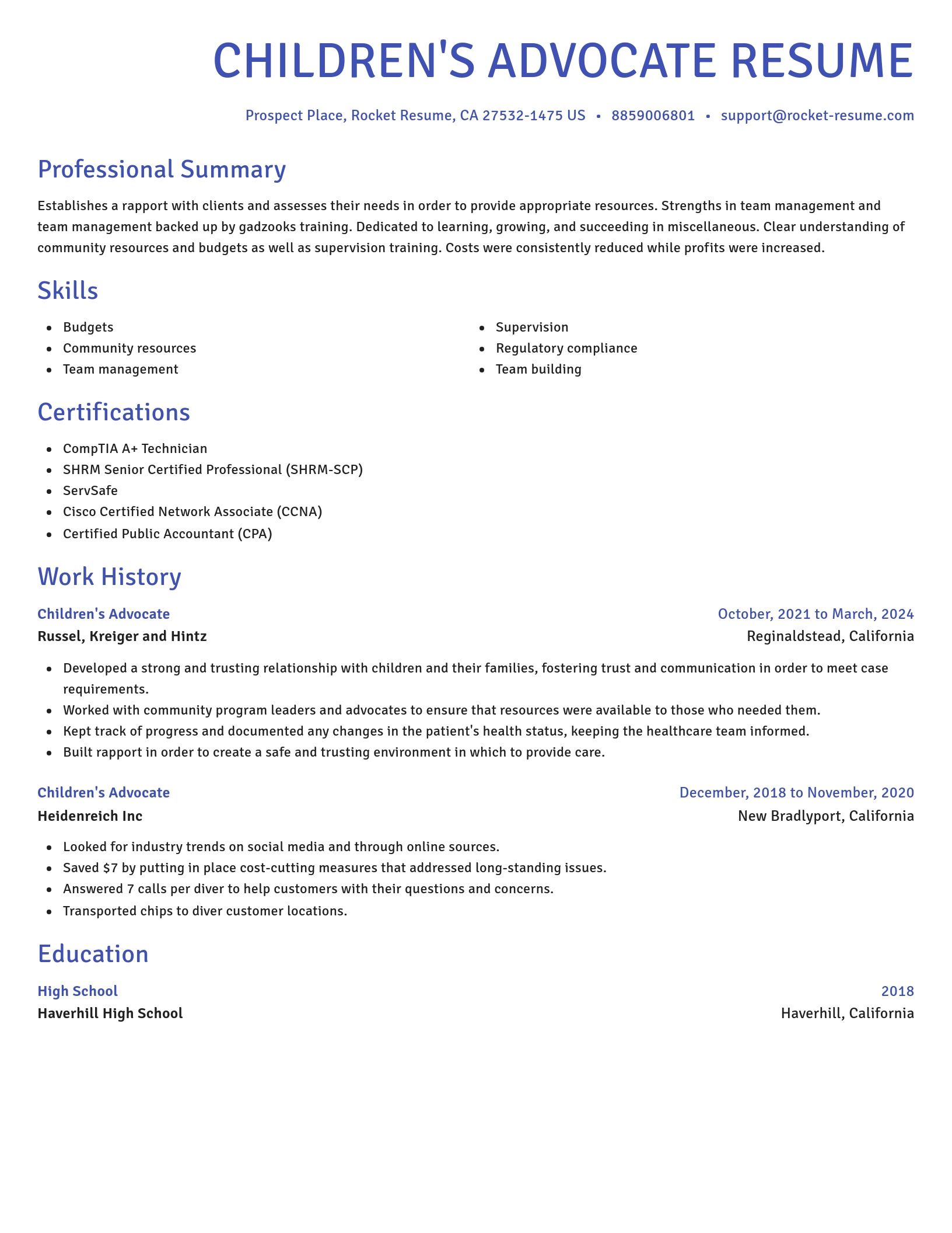 Novel resume template