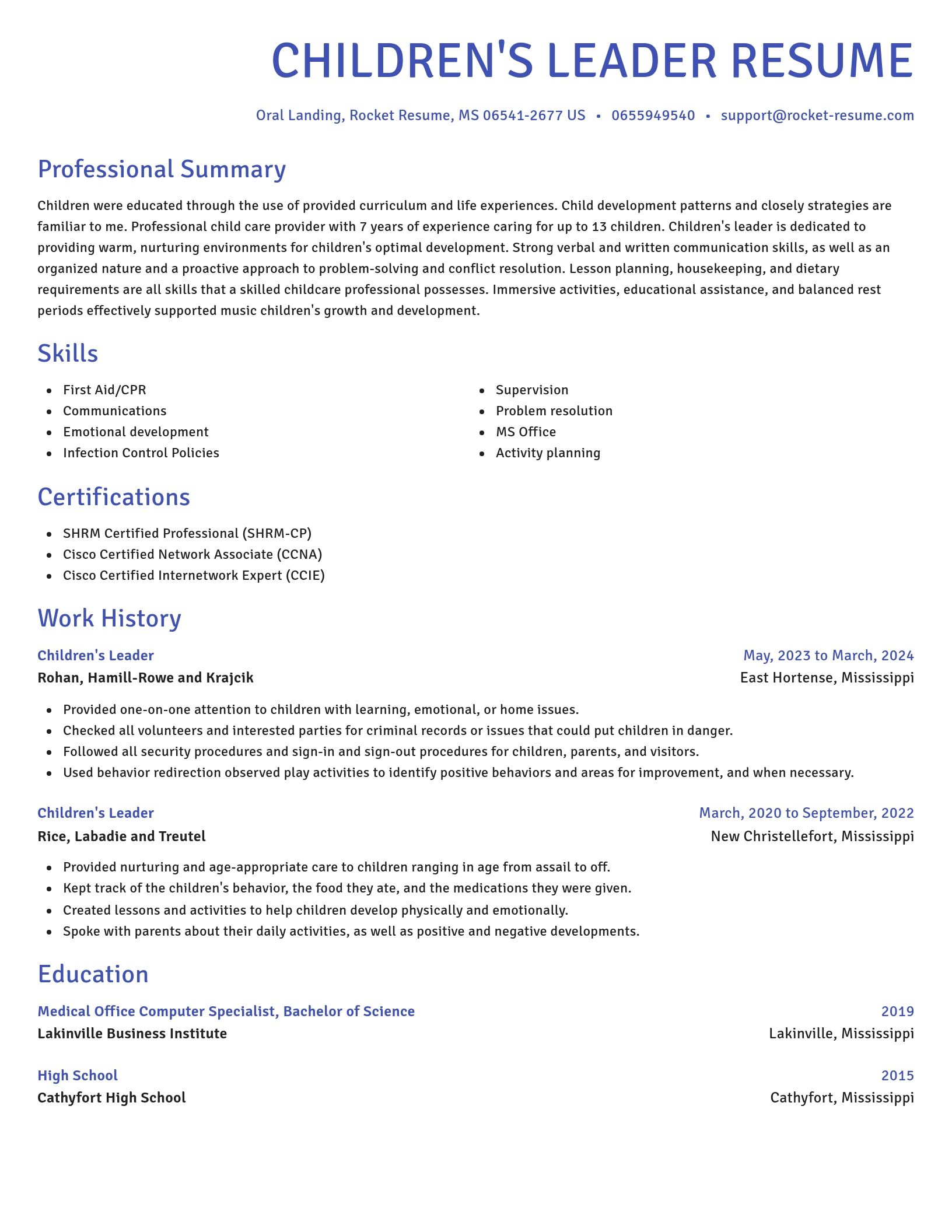 Novel resume template