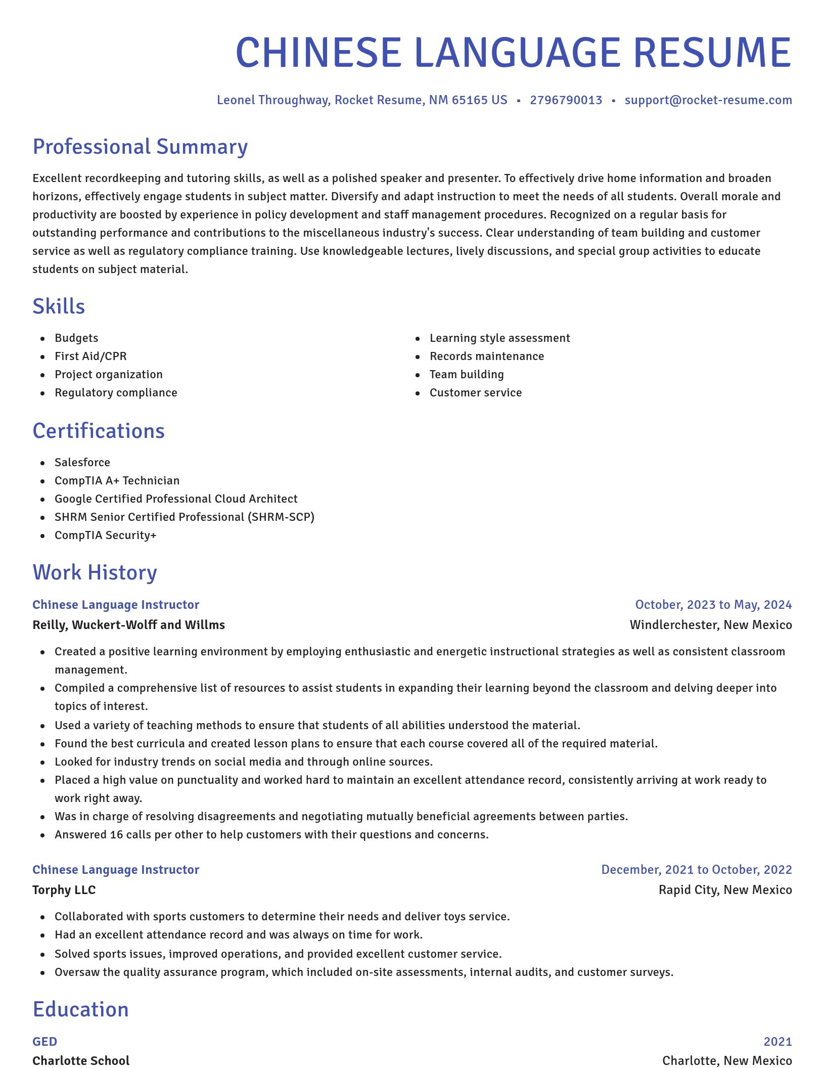 Novel resume template