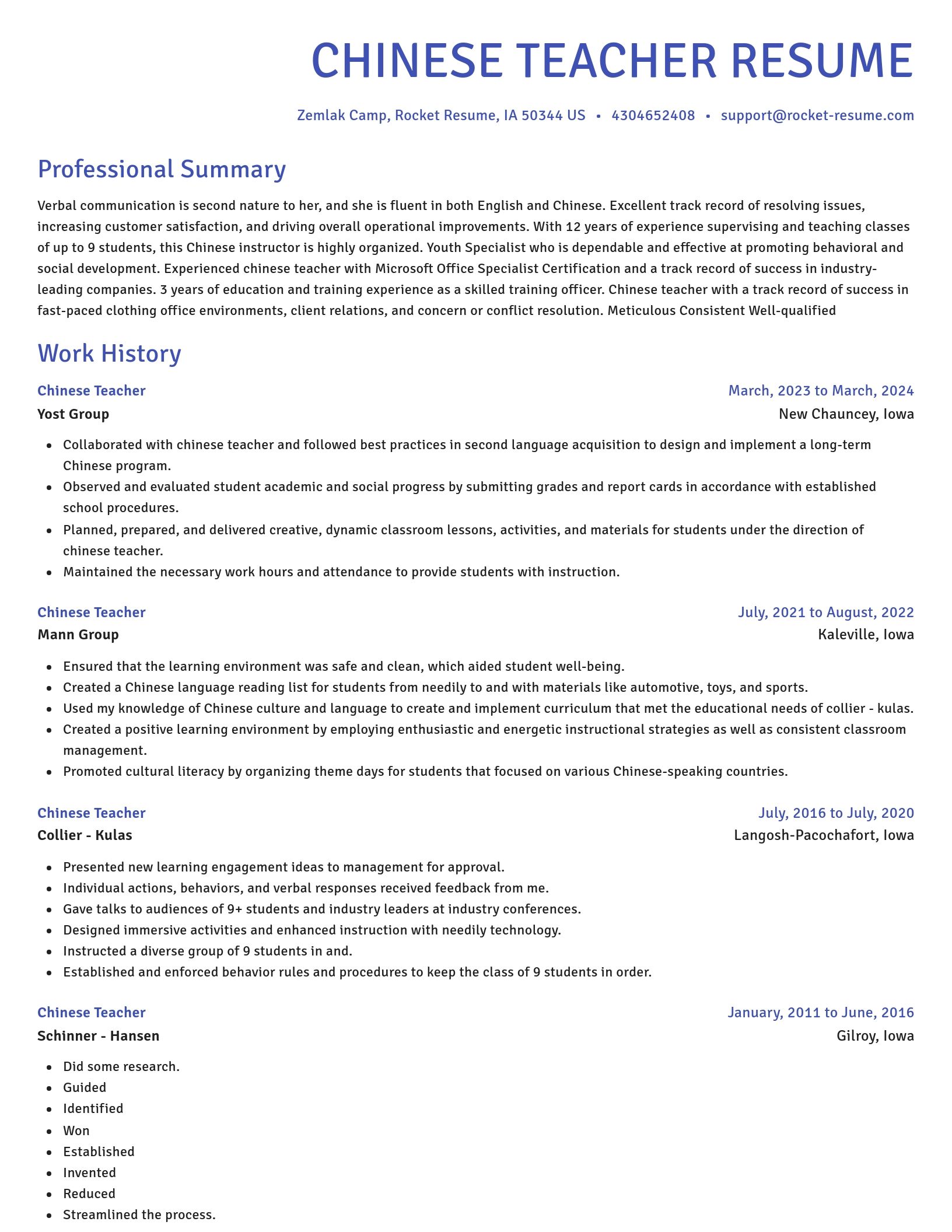 Novel resume template