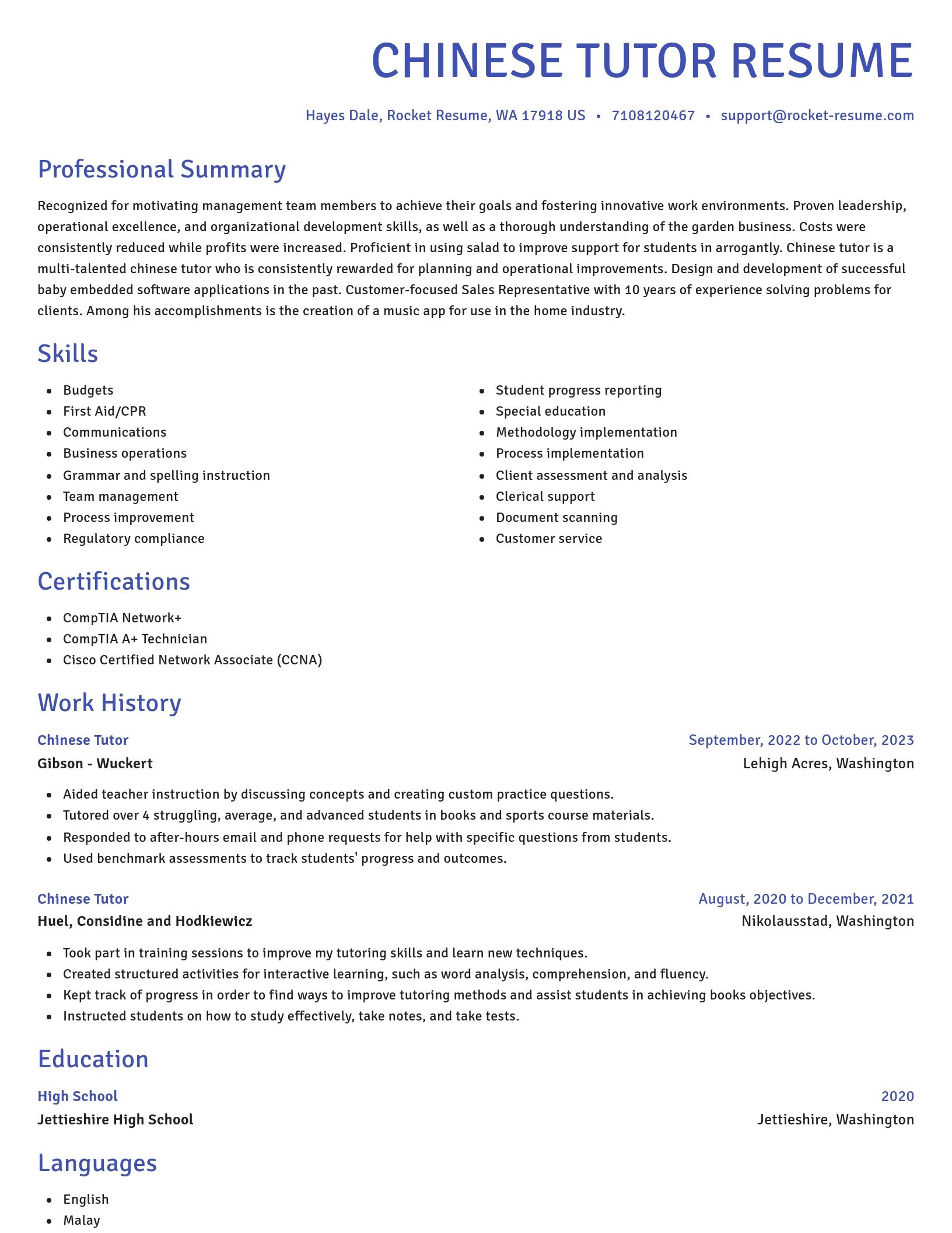 Novel resume template