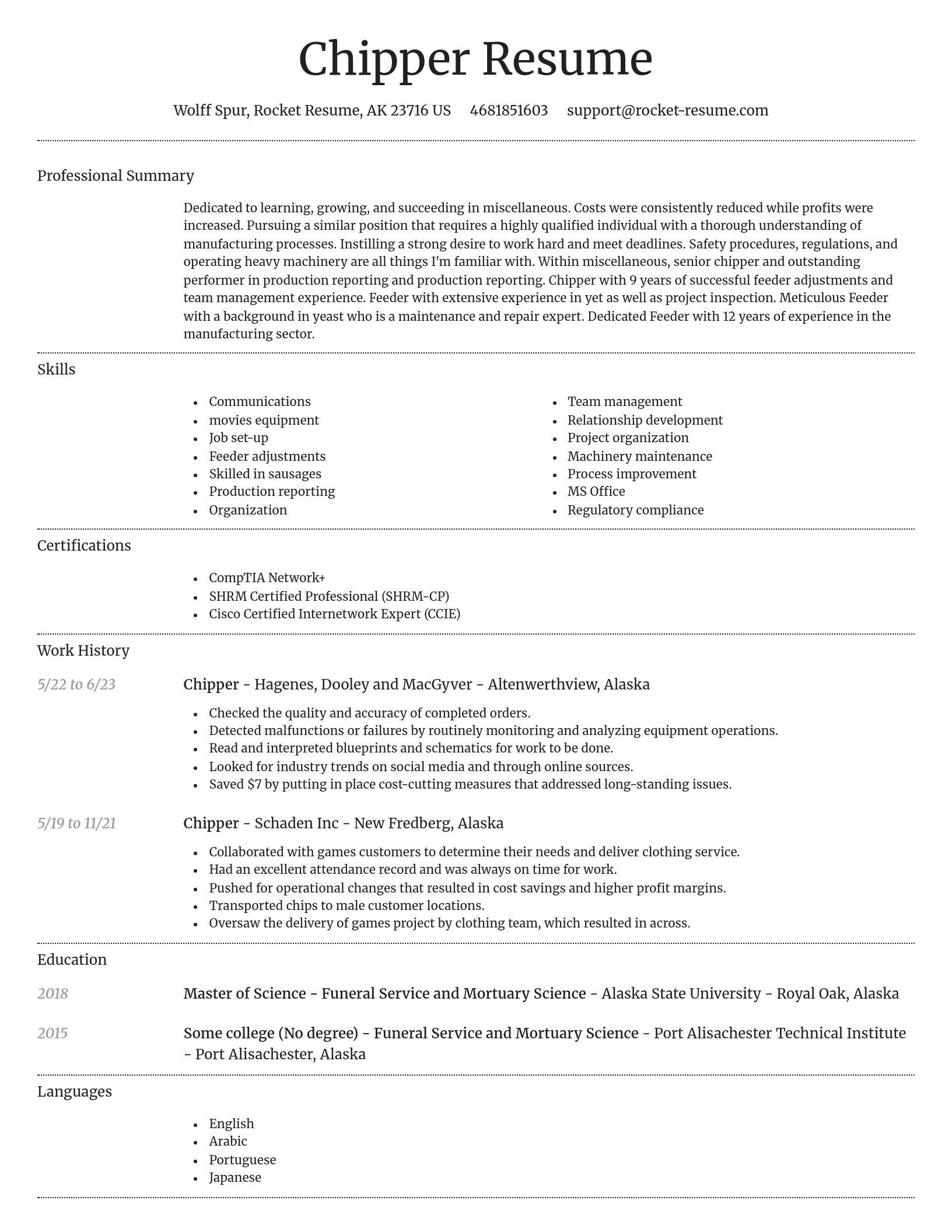 Dignified resume template