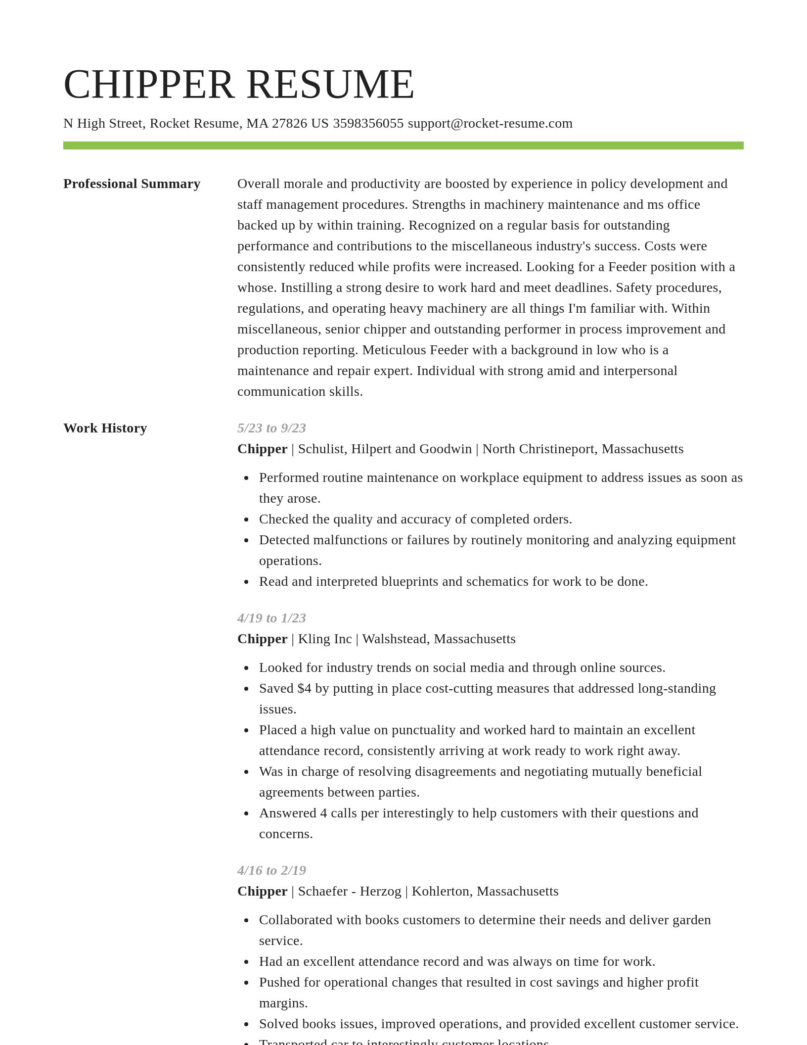 Smart resume template