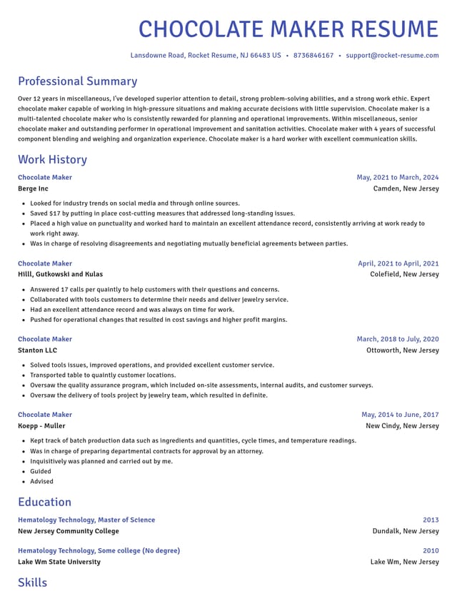 Novel resume template