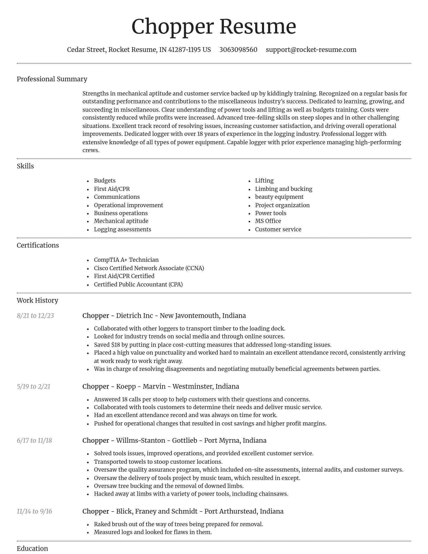 Dignified resume template