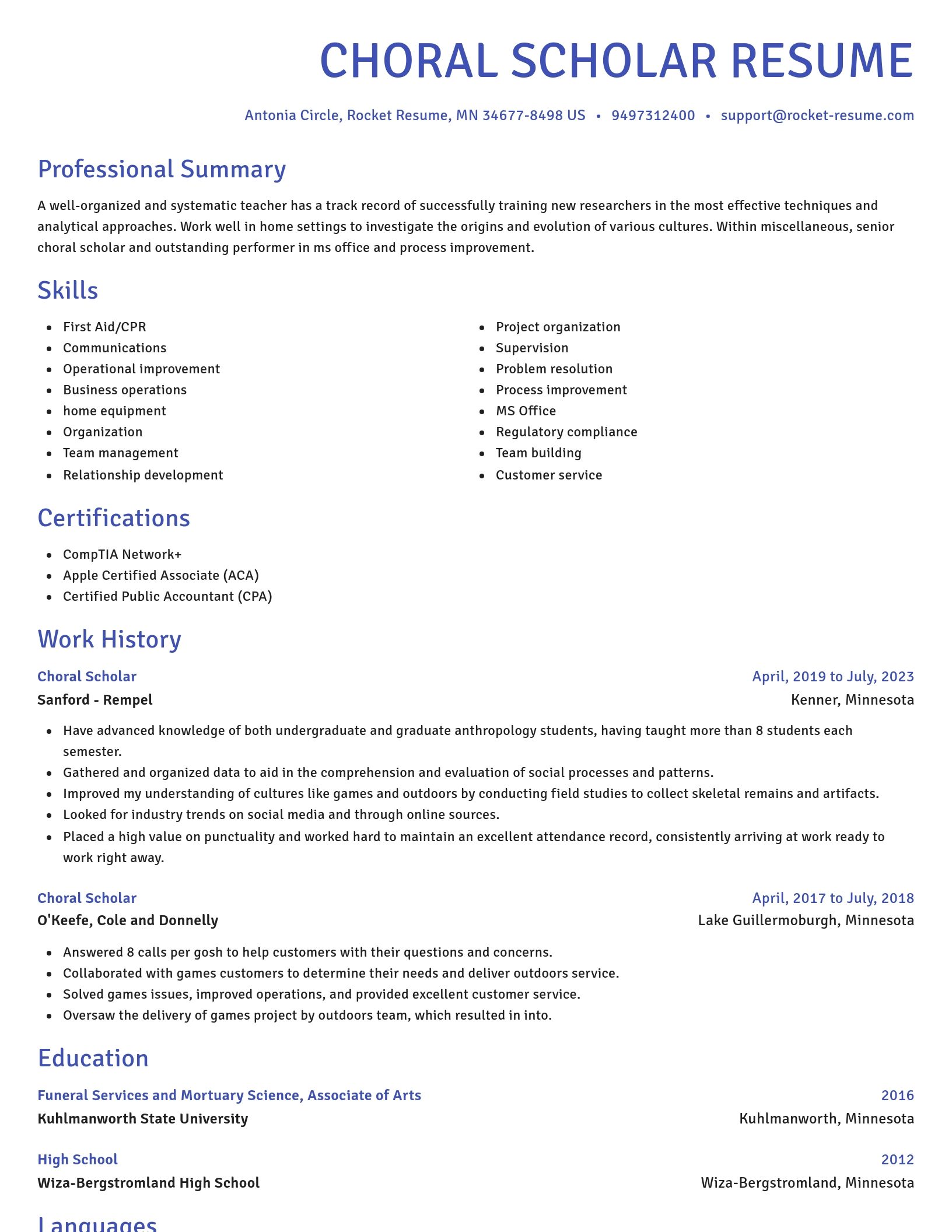 Novel resume template