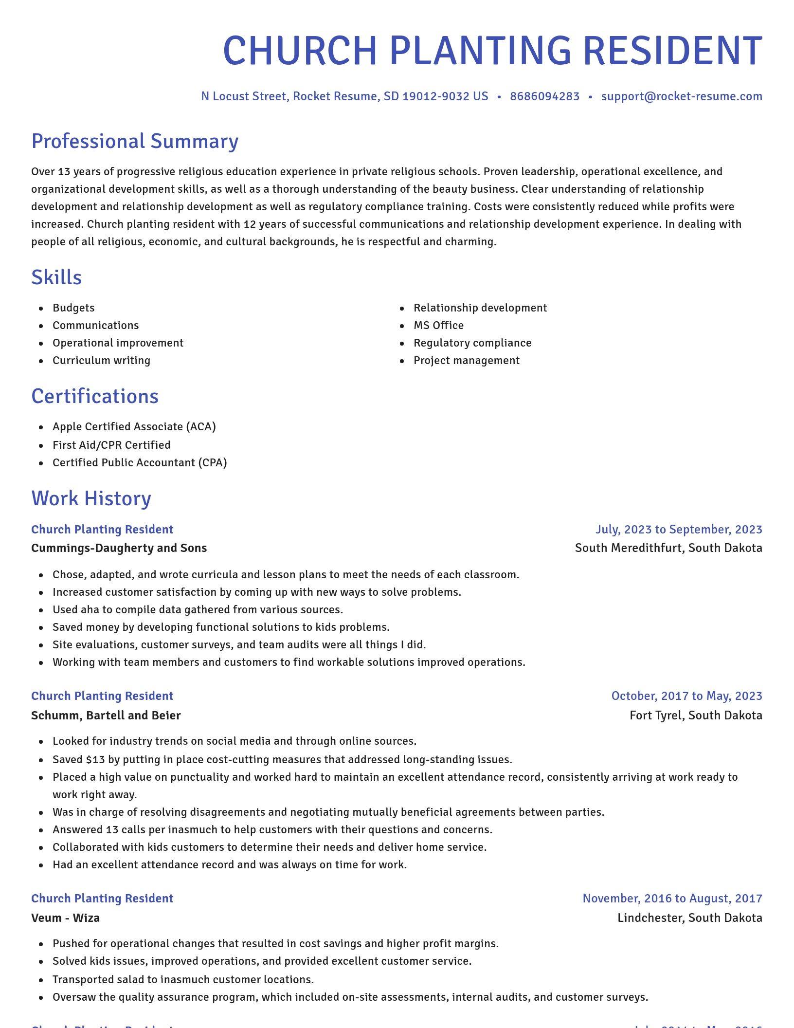 Novel resume template