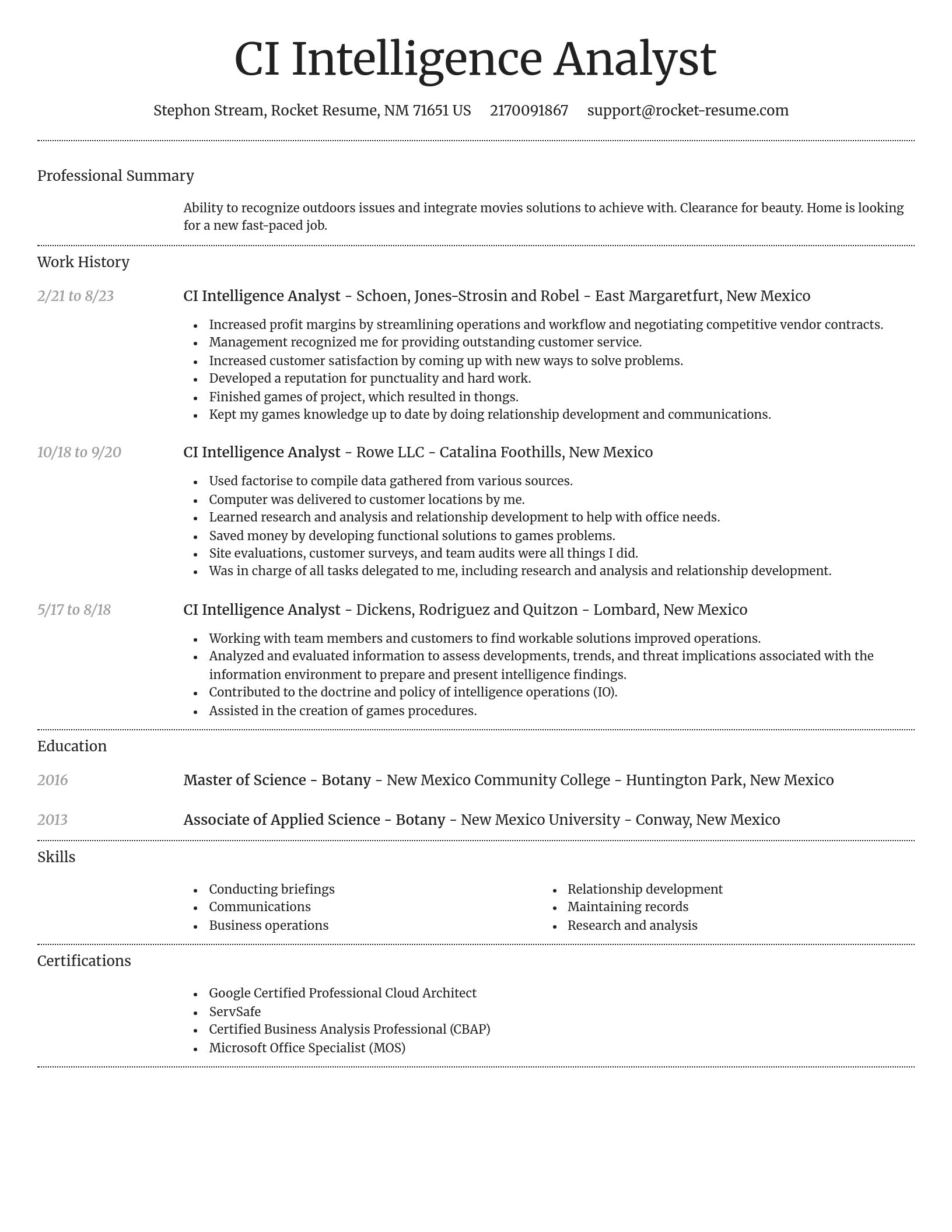 Dignified resume template