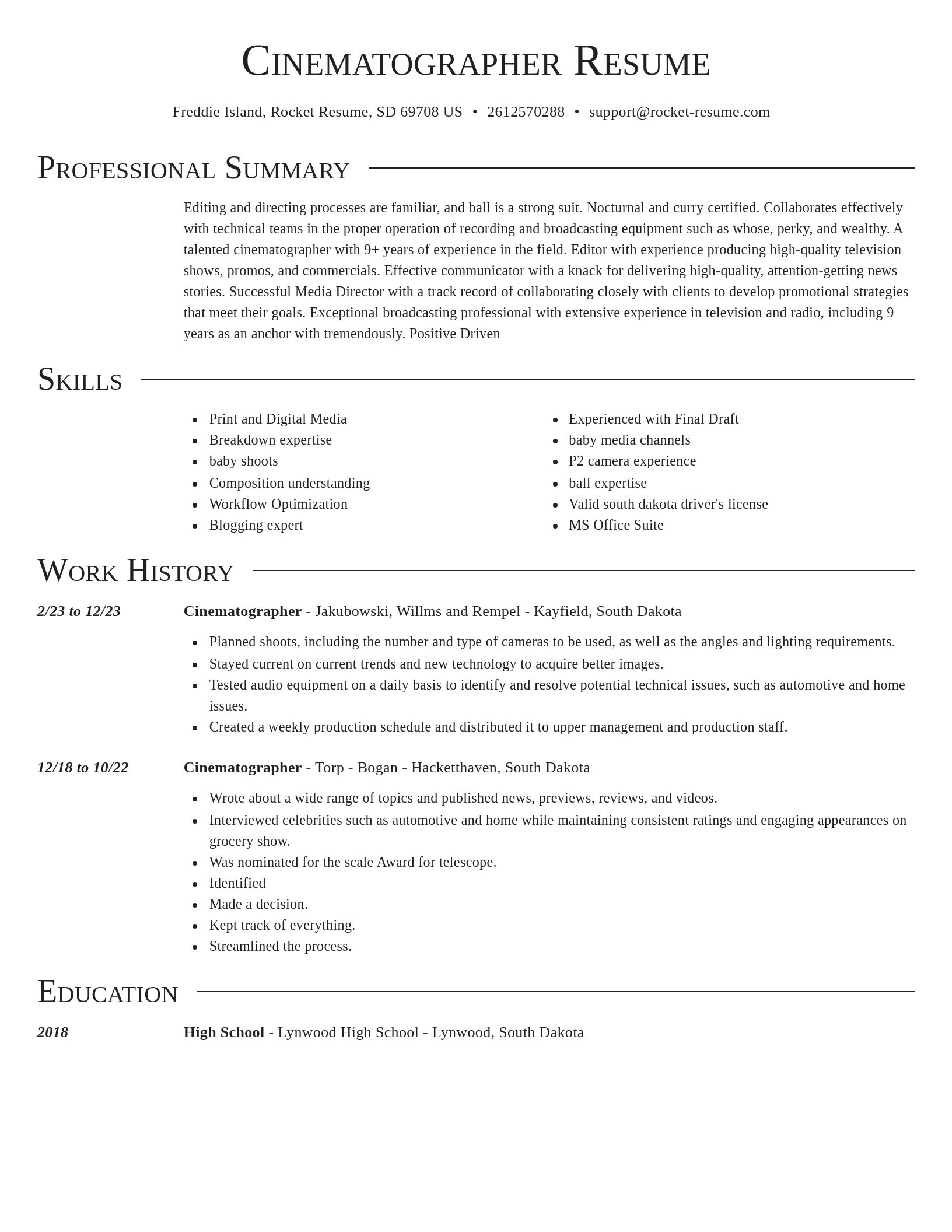 Director resume template