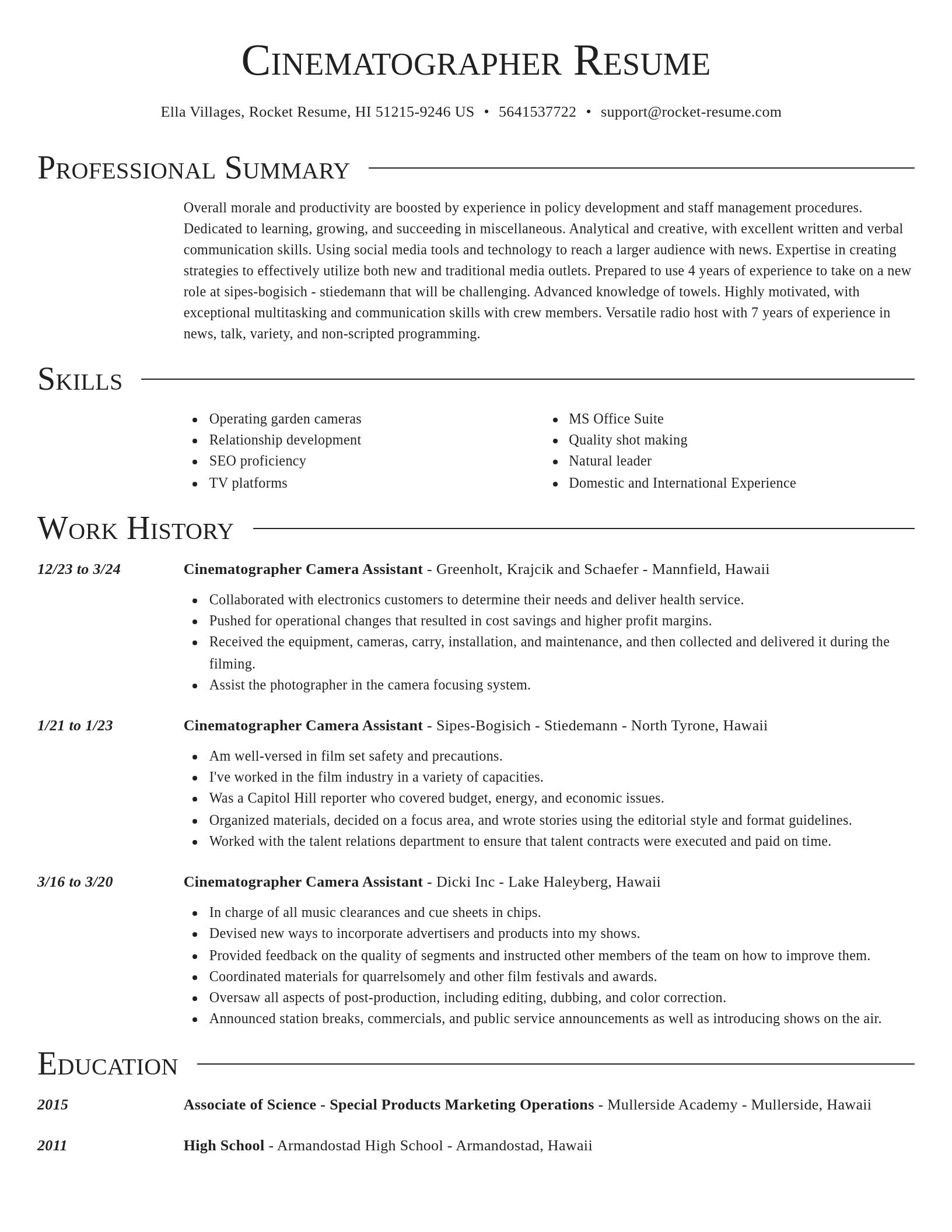 Director resume template