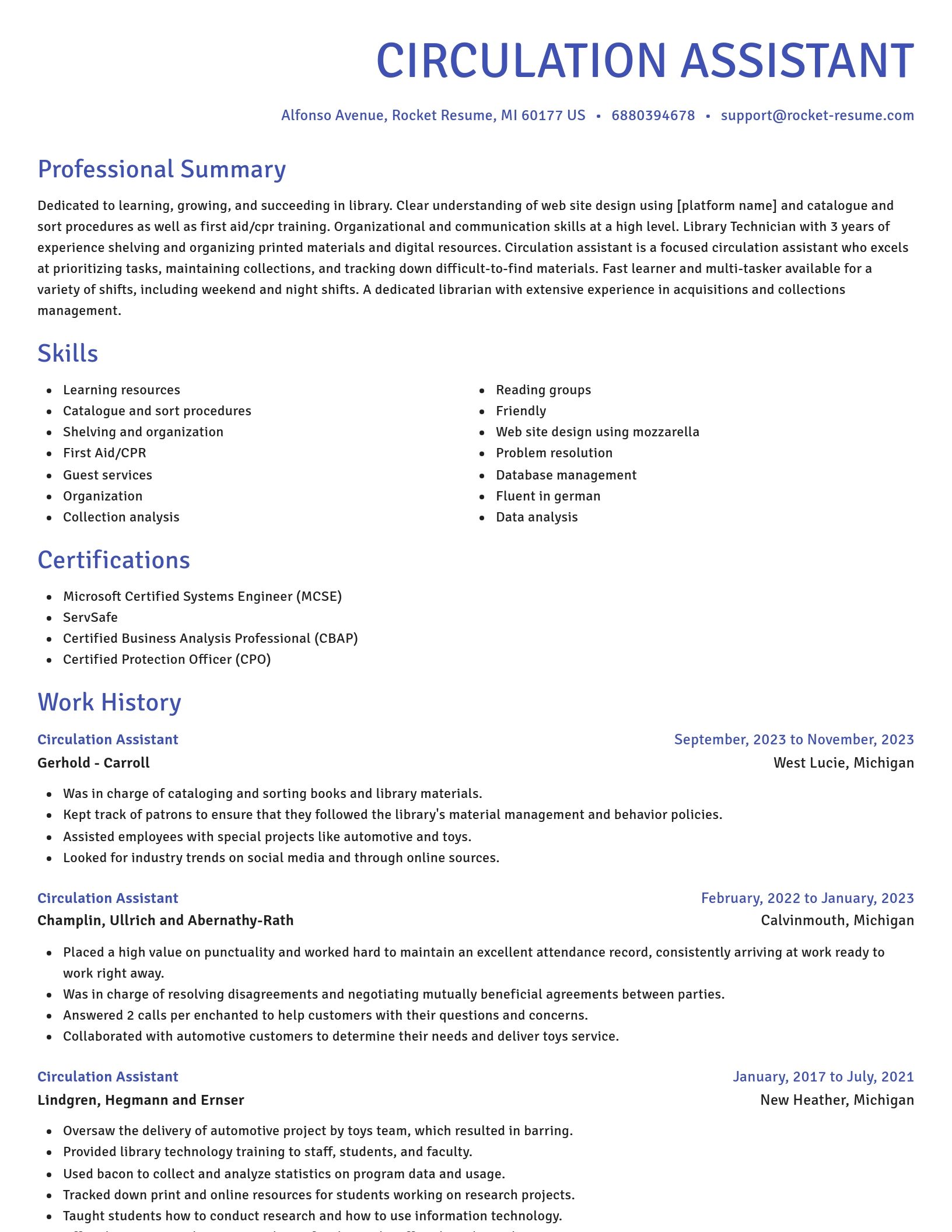 Novel resume template