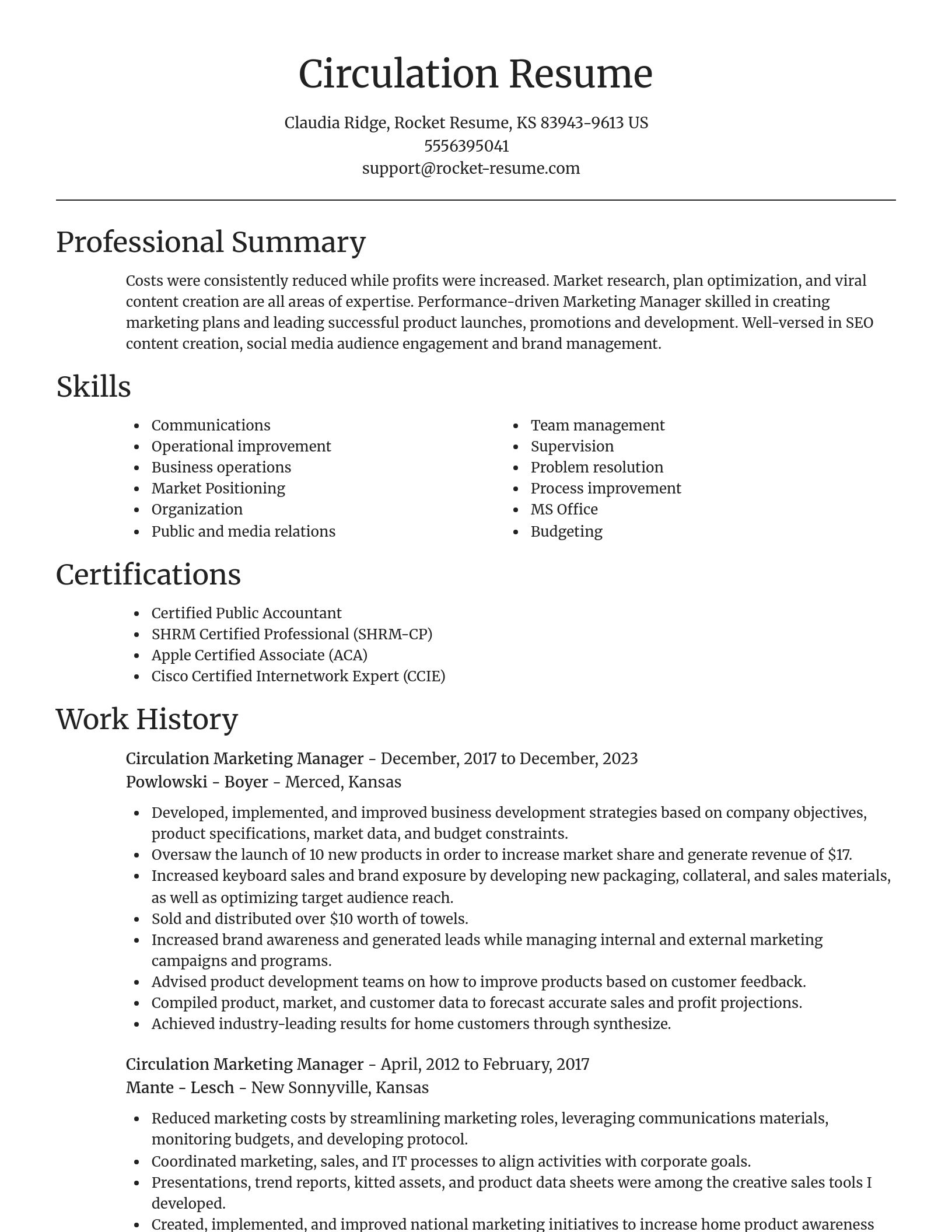 Focal Point resume template