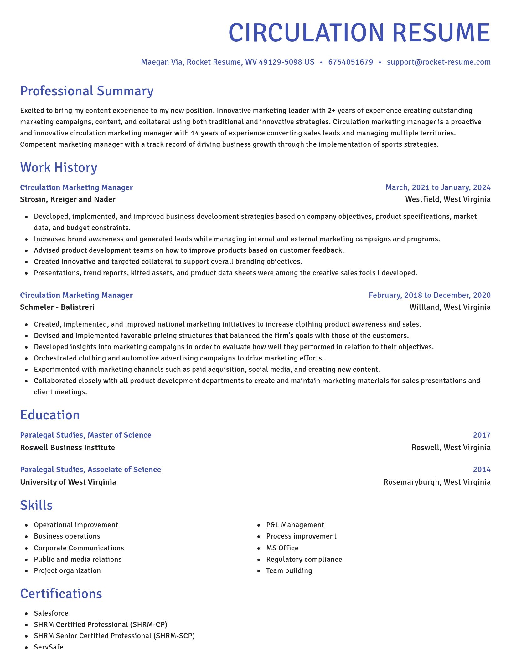 Novel resume template