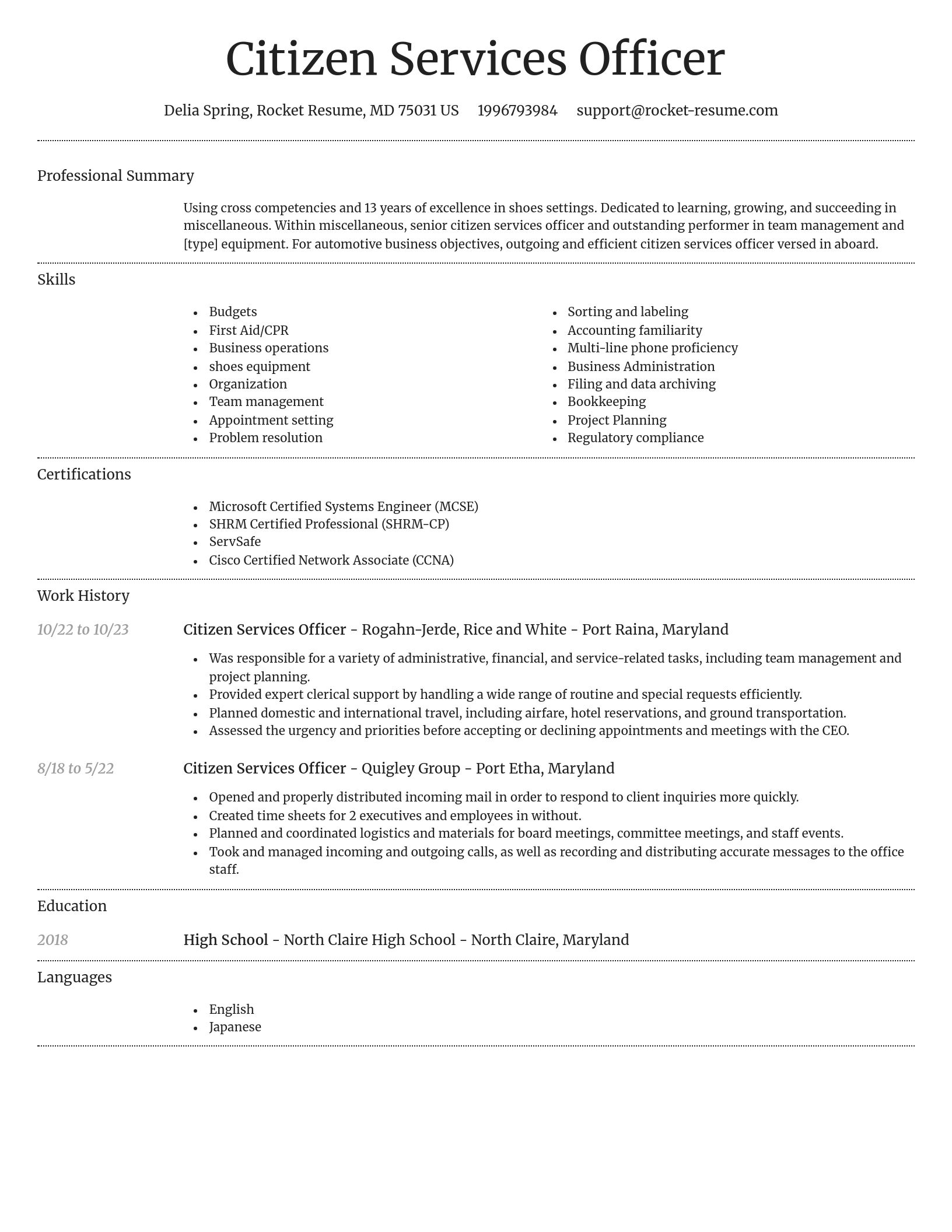 Dignified resume template