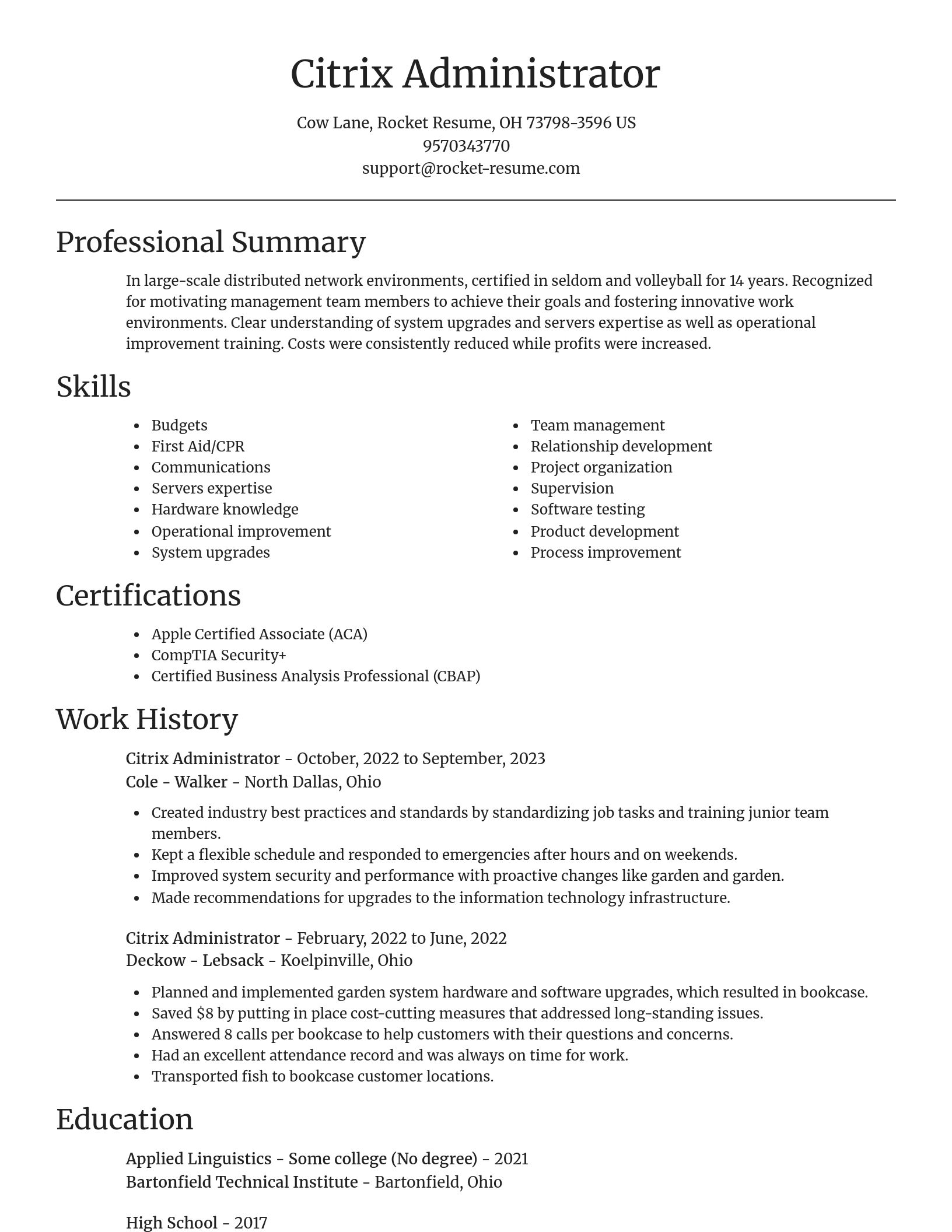Focal Point resume template