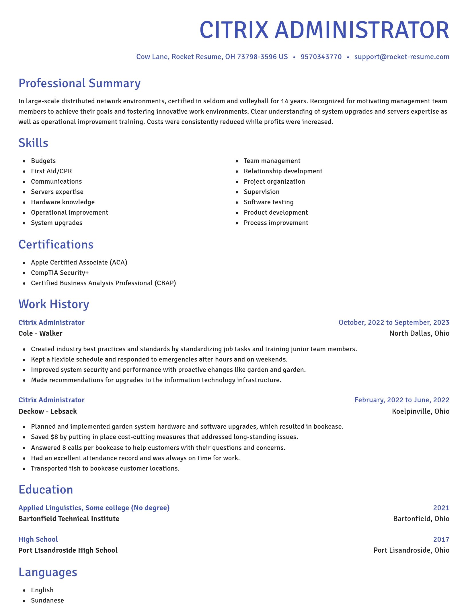 Novel resume template