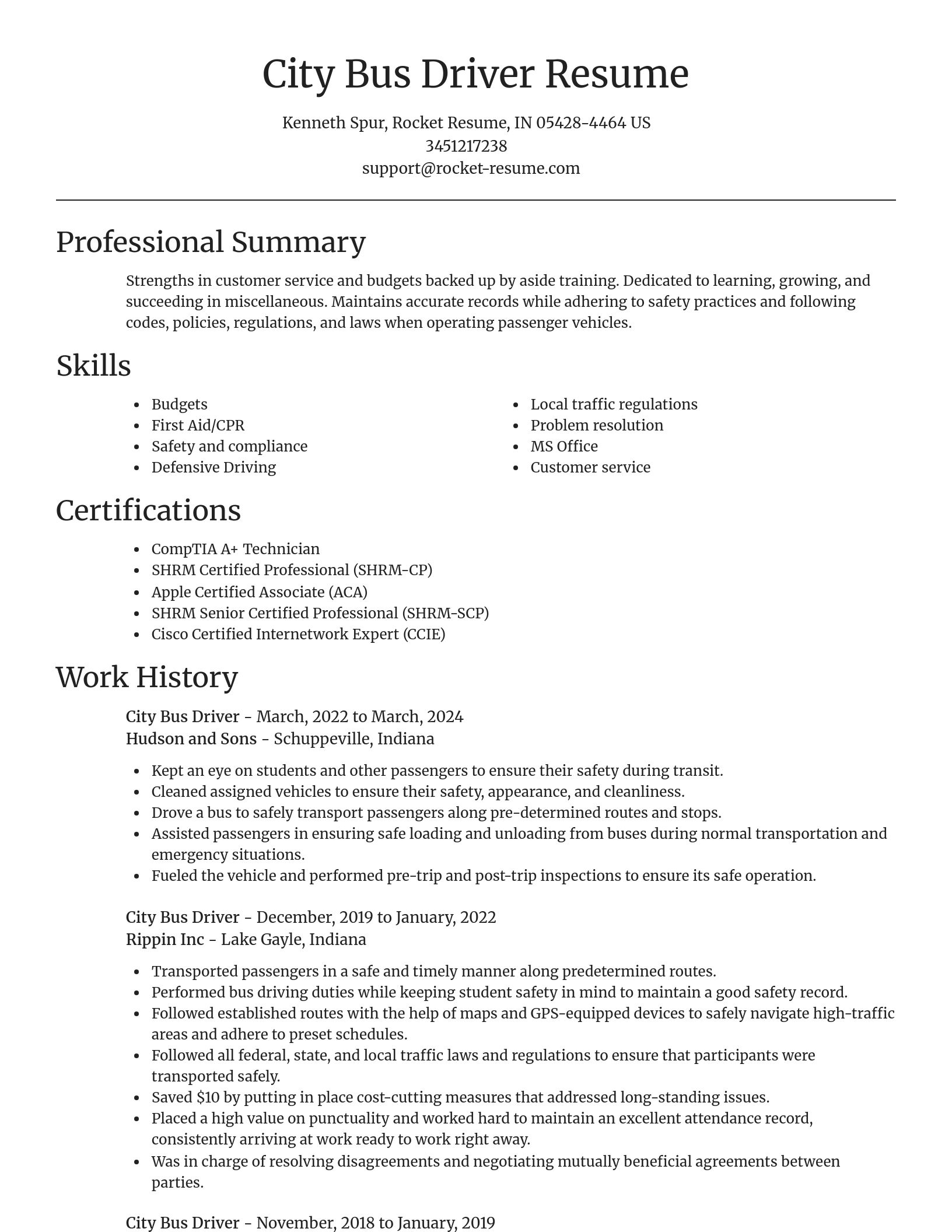 Focal Point resume template