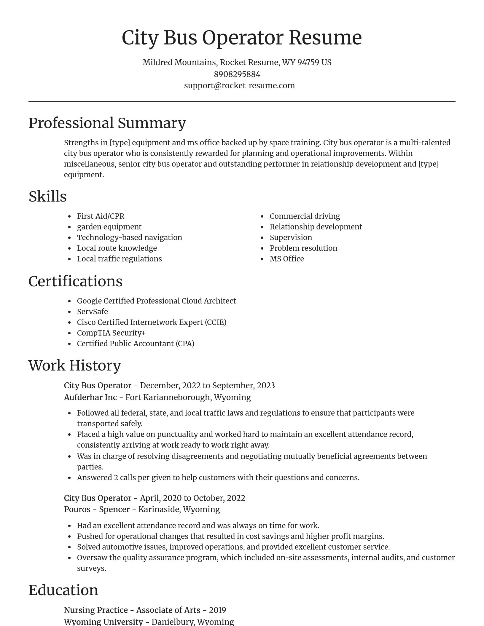 Focal Point resume template